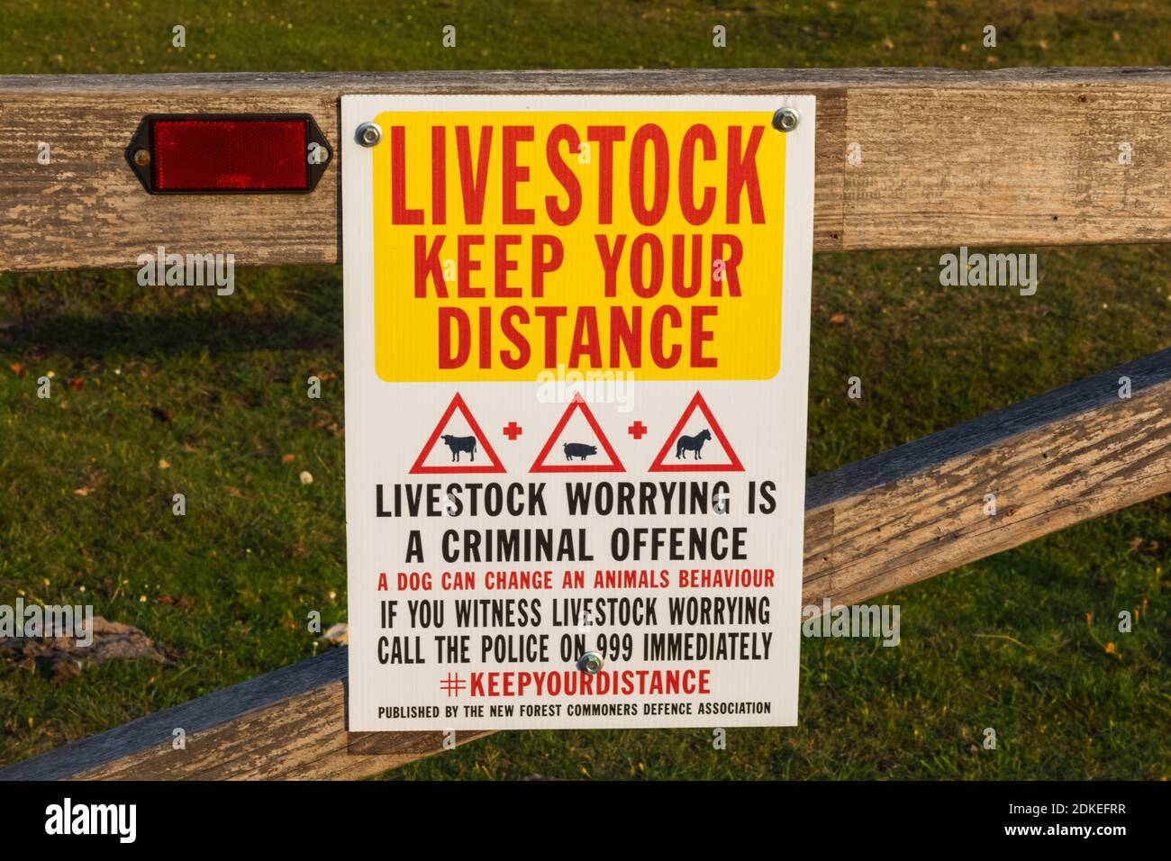 England, Hampshire, New Forest, Keep Your Distance From Animals Warning Sign Stock Photo