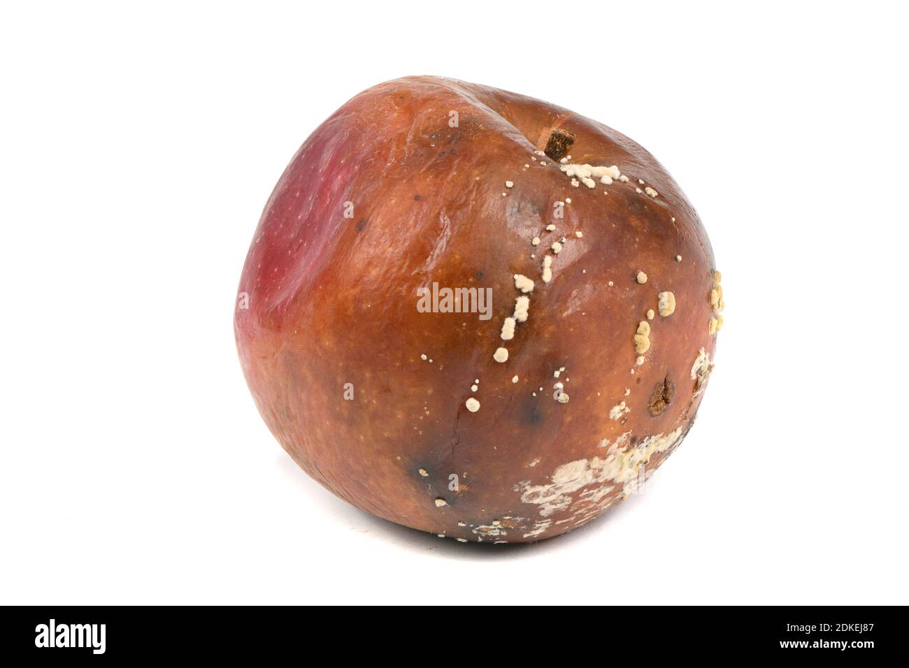 Old rotten apple isolated on white background. High resolution photo ...
