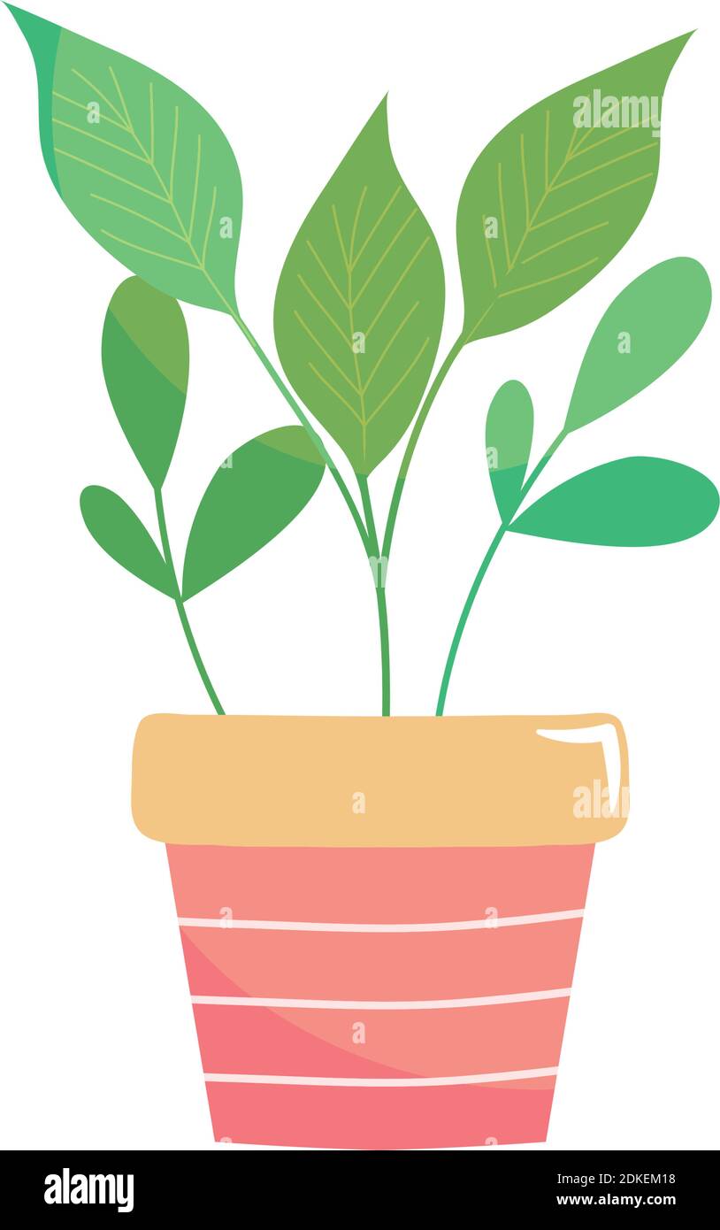 green plant in a pot over white background, colorful design, vector ...