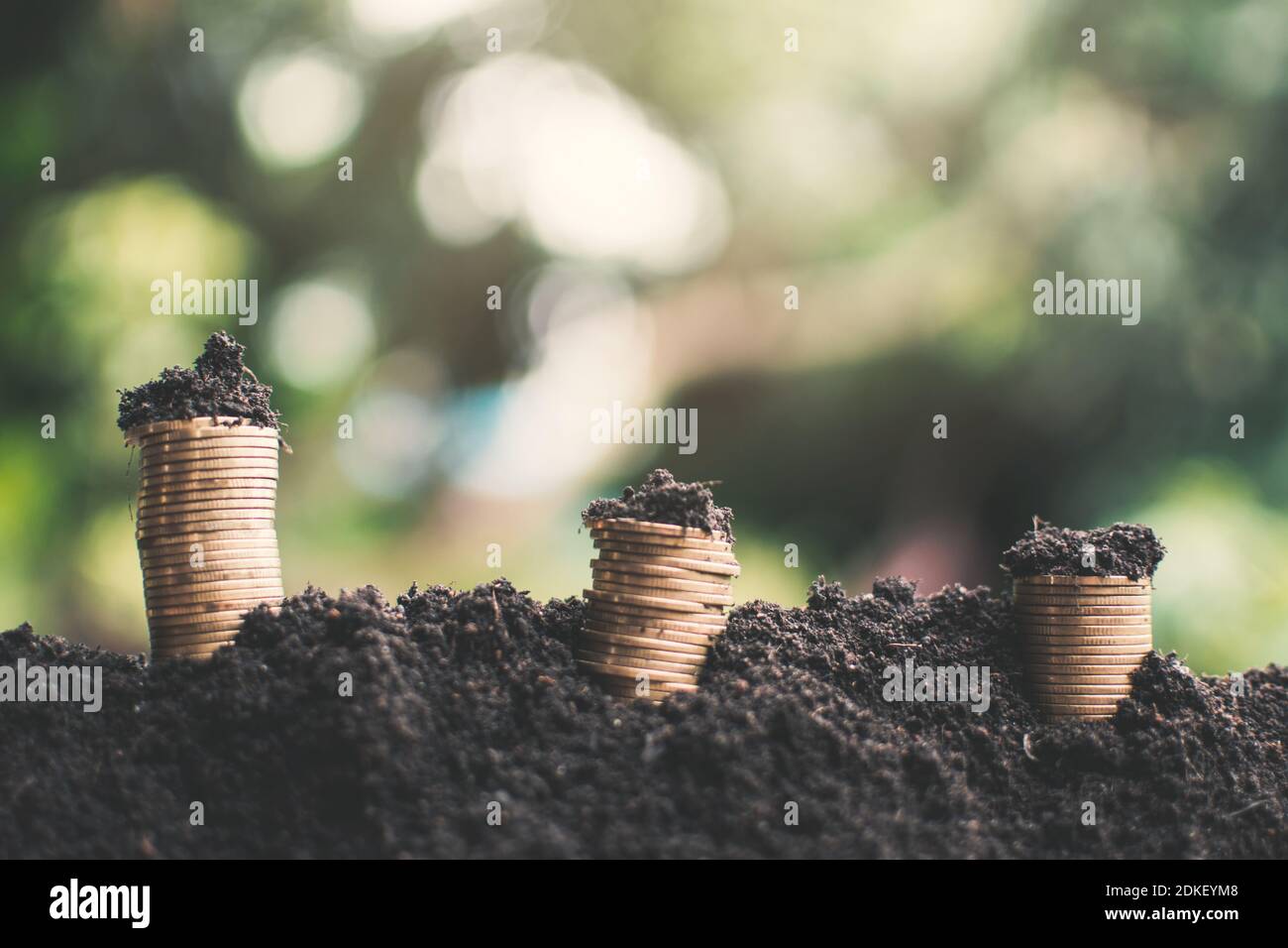 Stack Of Coins In Soil Stock Photo