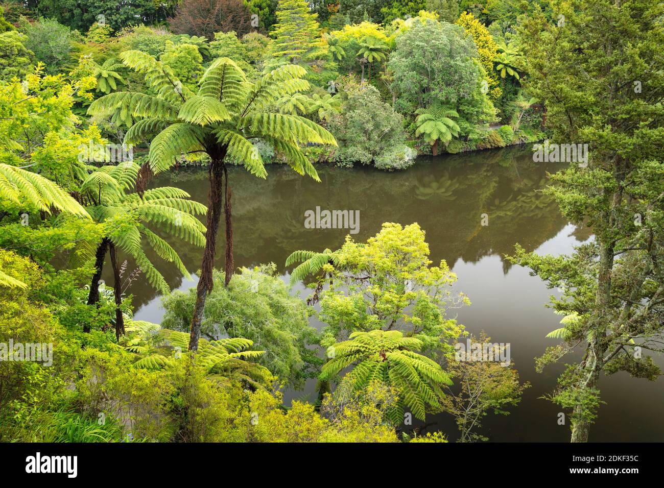 Pukekura Park, Botanical Gardens, New Plymouth, Taranaki, North Island, New Zealand Stock Photo