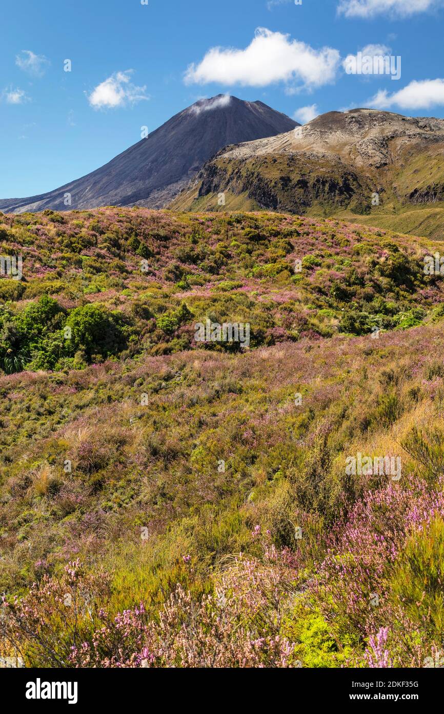 Mount Ngauruhoe, Tongariro National Park, UNESCO World Heritage Site; North Island, New Zealand, Oceania Stock Photo