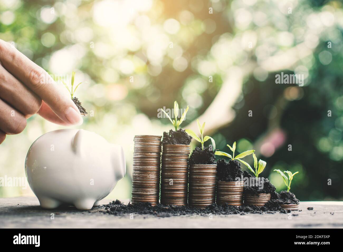 Cropped Hand Putting Seedling In Piggy Bank By Stacked Coins On Table Stock Photo