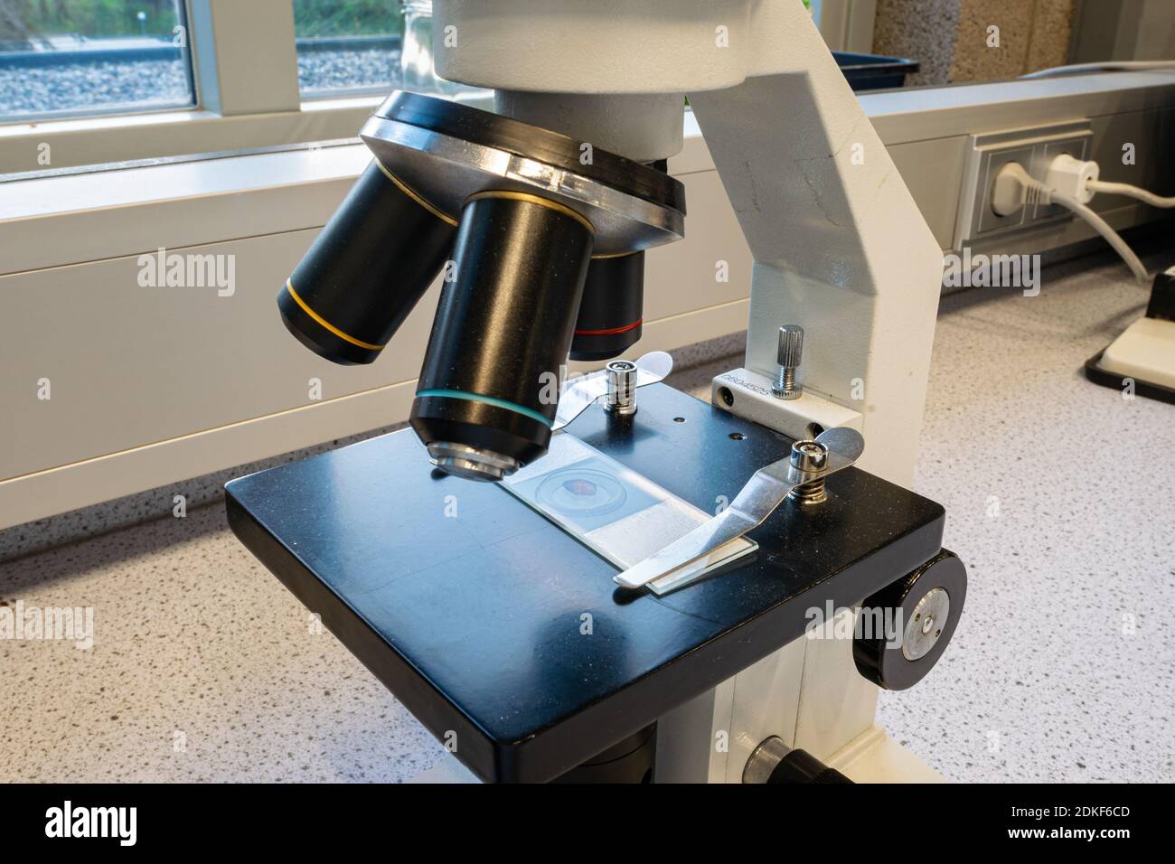 Examination slide and microscope for scientific research Stock Photo ...