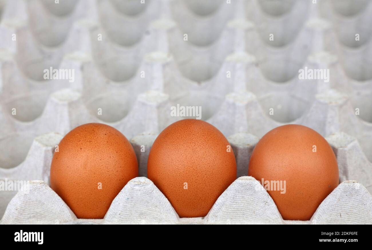 Close-up Of Eggs In Carton Stock Photo