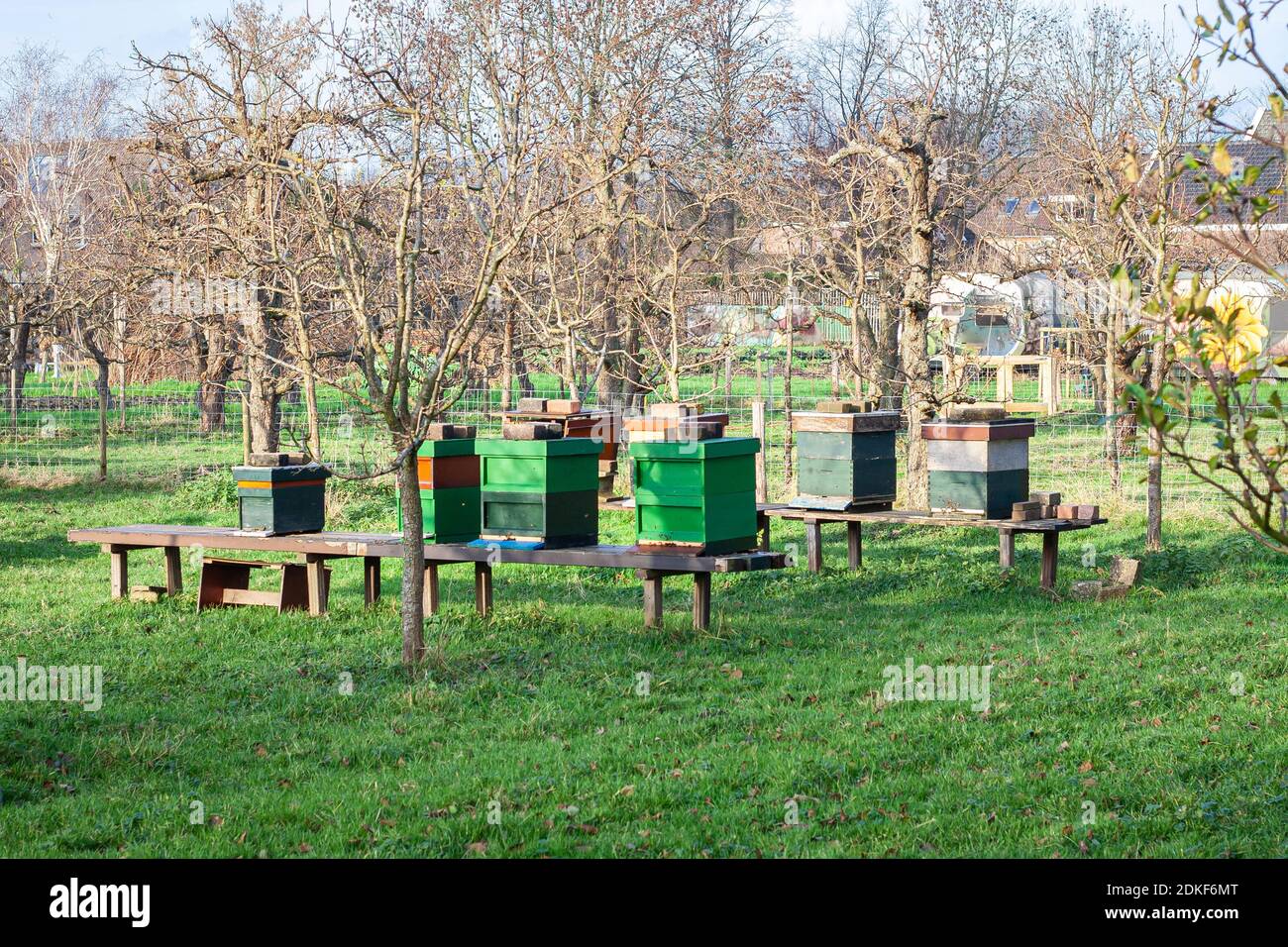 Bee hives in orchard hi-res stock photography and images - Alamy