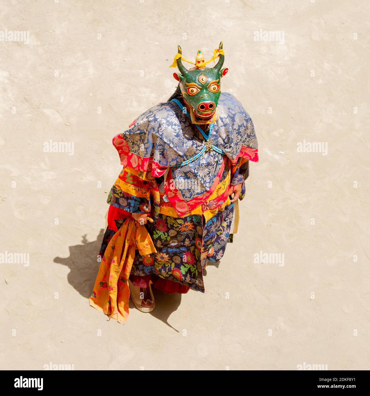 Unidentified monk in a bull deity mask with ritual dagger (phurpa) performs a religious masked costumed mystery dance Tantric Buddhism Photo - Alamy
