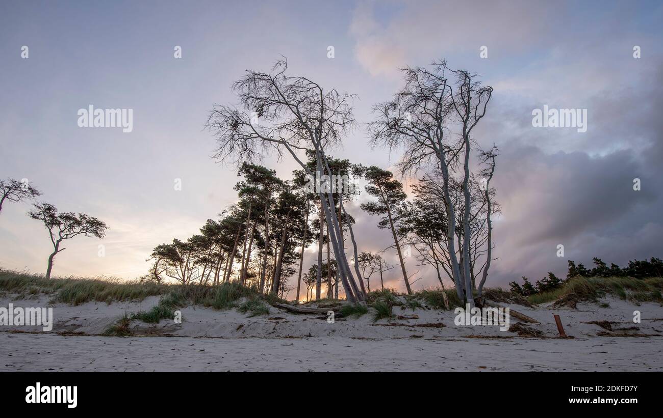 Germany, Mecklenburg-Western Pomerania, Prerow, sunrise on the west beach, Baltic Sea Stock Photo