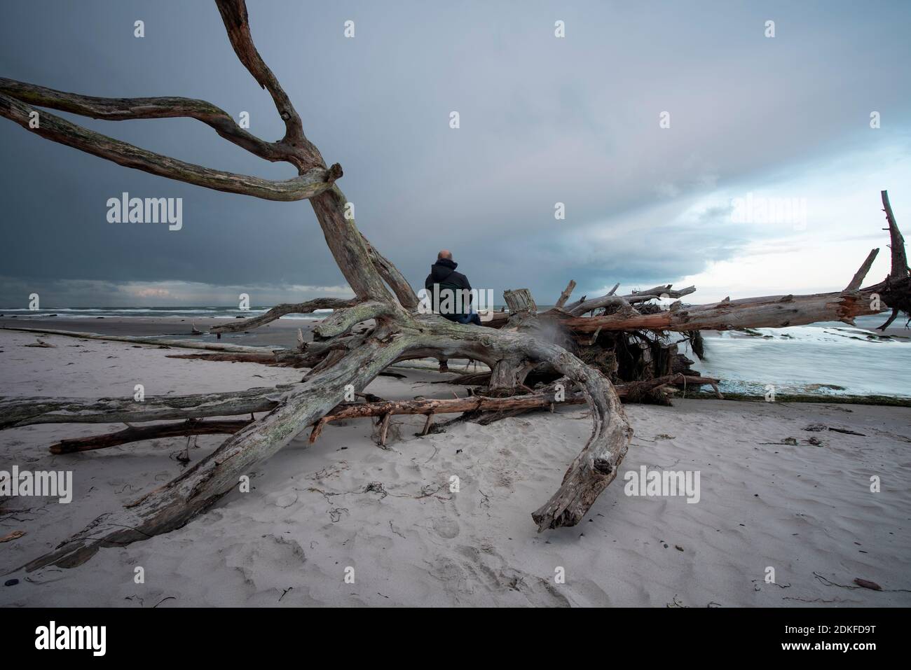 Germany, Mecklenburg-Western Pomerania, Prerow, man sitting on the west beach on a tree, Baltic Sea Stock Photo