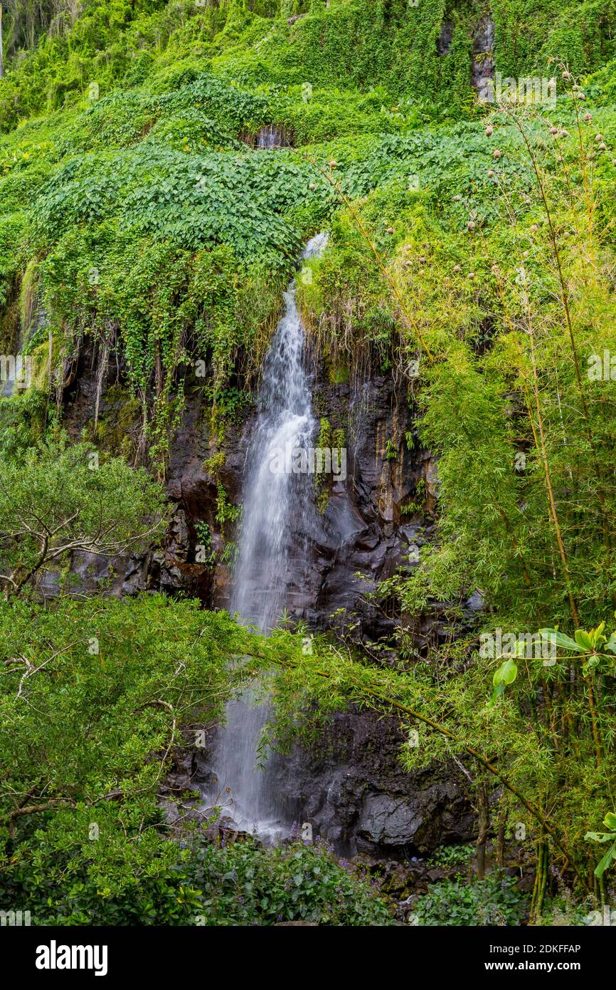 Waterfall and tropical vegetation, destination Anse waterfalls, Anse des Cascades, Piton Sainte-Rose, Reunion Island, France, Africa, Indian Ocean Stock Photo