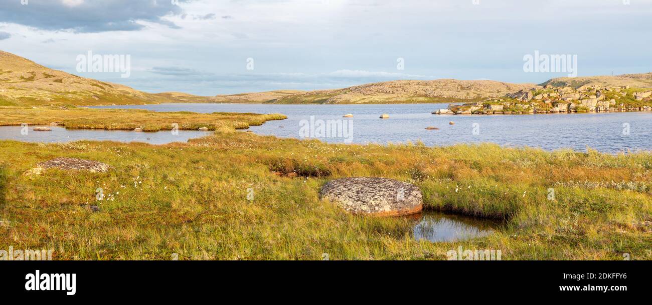 Panorama of the lake in the tundra of the Kola Peninsula beyond the Arctic Circle at sunset of a sunny day, Russia Stock Photo