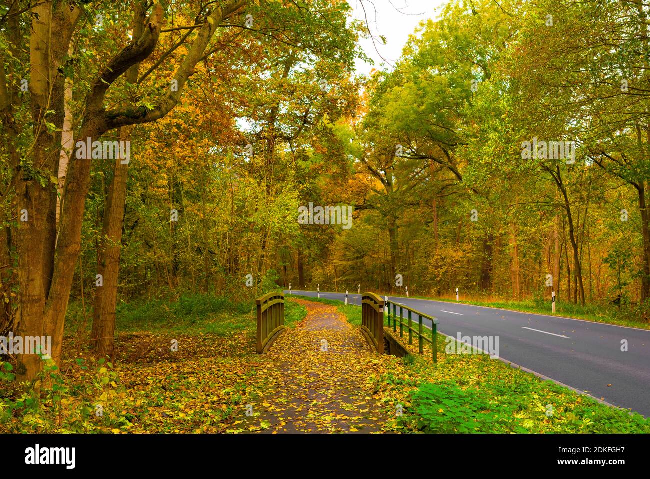 Country road wooden bridge hi-res stock photography and images - Alamy