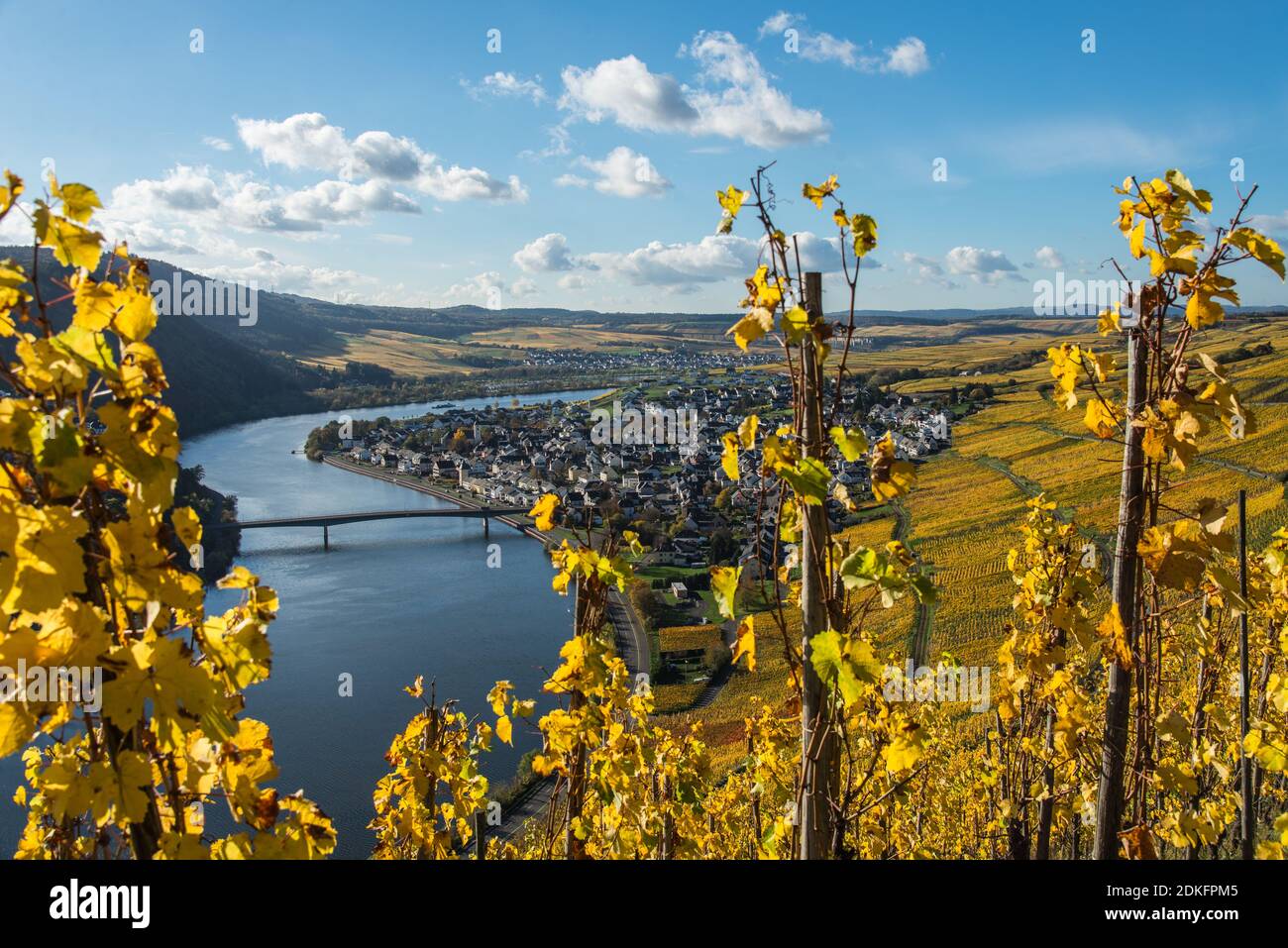 The Moselle with autumn-colored vineyards near Mehring near Trier Stock  Photo - Alamy