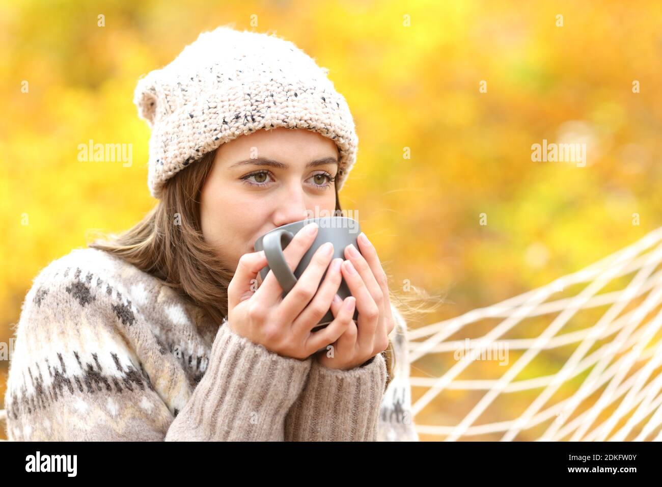 Satisfied woman drinking coffee looking away in a hammock in autumn in a forest Stock Photo