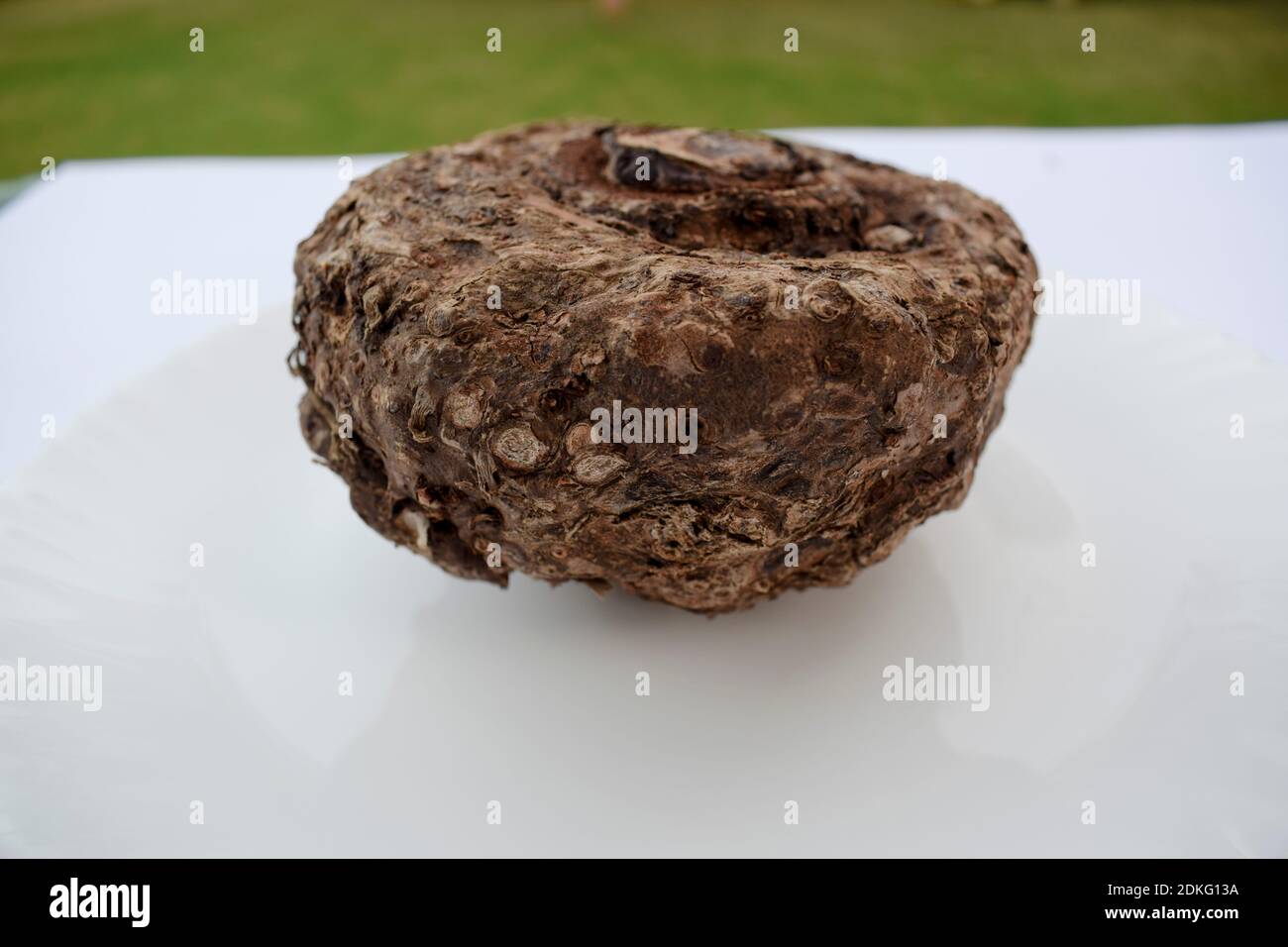 Yams africa hires stock photography and images Alamy