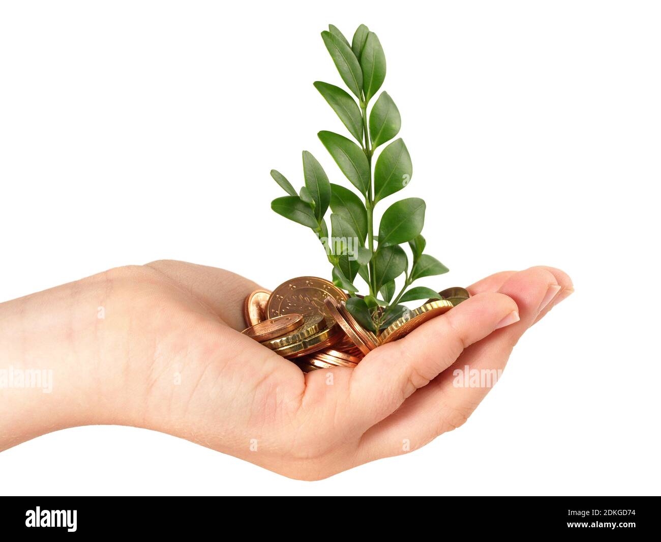 Children Hand Money growth Symbol - White Background Stock Photo