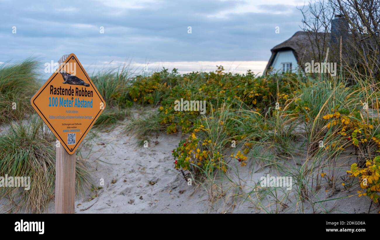 Germany, Mecklenburg-Western Pomerania, Ahrenshoop, seal notice sign at the beach access, Baltic Sea Stock Photo