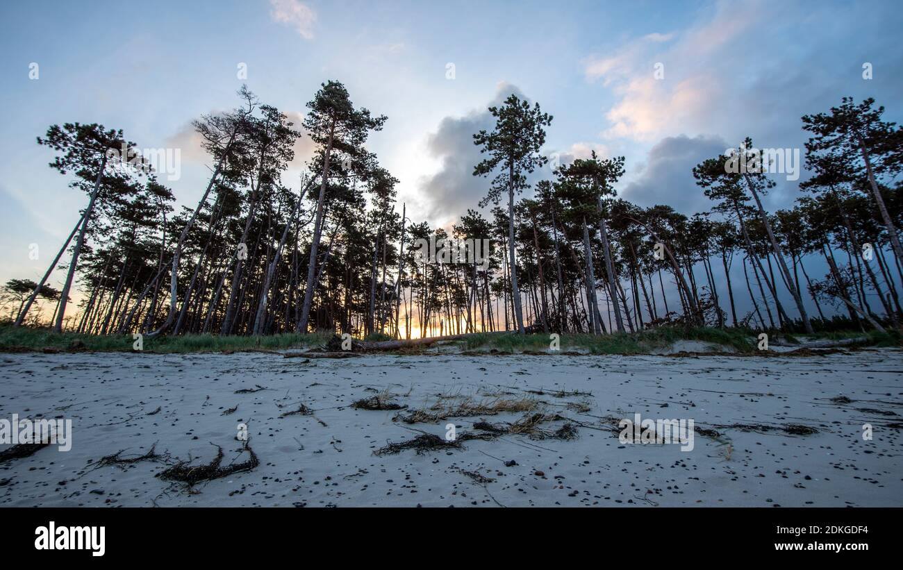Germany, Mecklenburg-Western Pomerania, Prerow, sunrise on the west beach, Baltic Sea Stock Photo