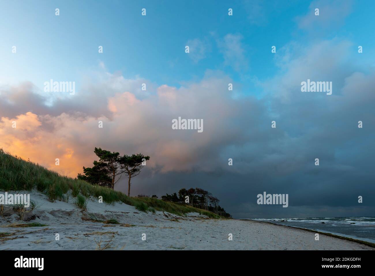 West Beach sand dunes in the Climping Beach SSSI local nature reserve,  Littlehampton, a small holiday resort on south coast West Sussex, UK in  summer Stock Photo - Alamy