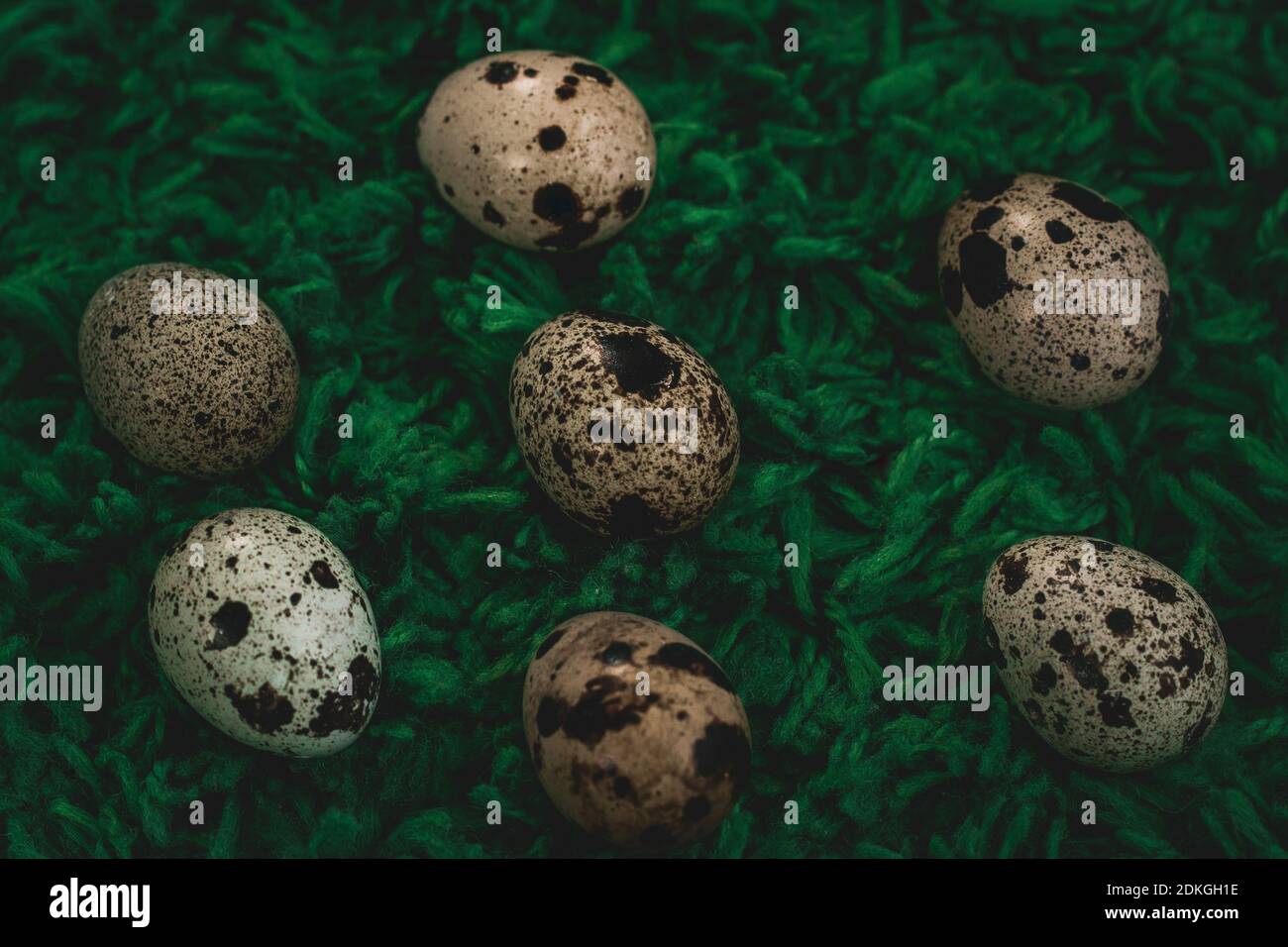 Quail eggs on green background nest Stock Photo