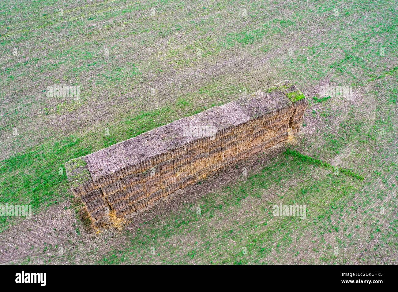 Bales of straw, straw thongs from a bird's eye view Stock Photo