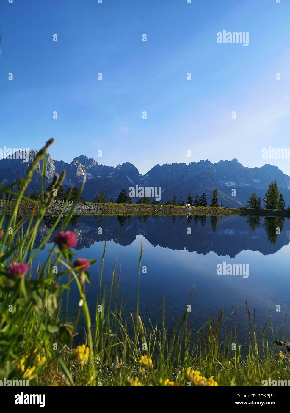Wilder Kaiser is reflected early in the morning in the Astbergsee above Reith near Kitzbühel. Stock Photo