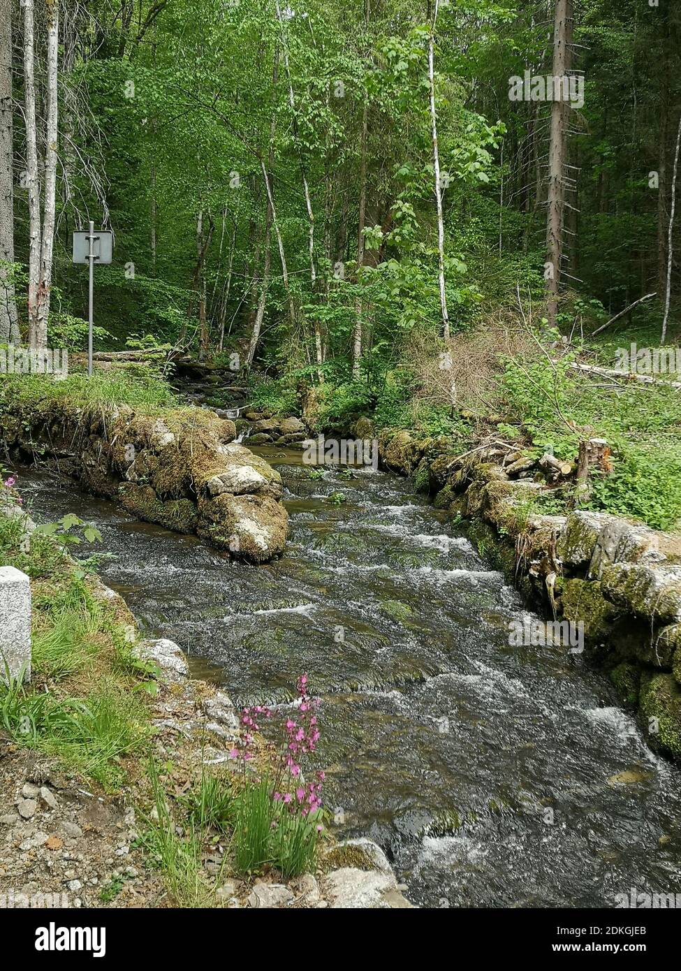 Schwarzenbergscher Schwemmkanal on the Austrian-Czech border in St. Oswald  near Haslach Stock Photo - Alamy