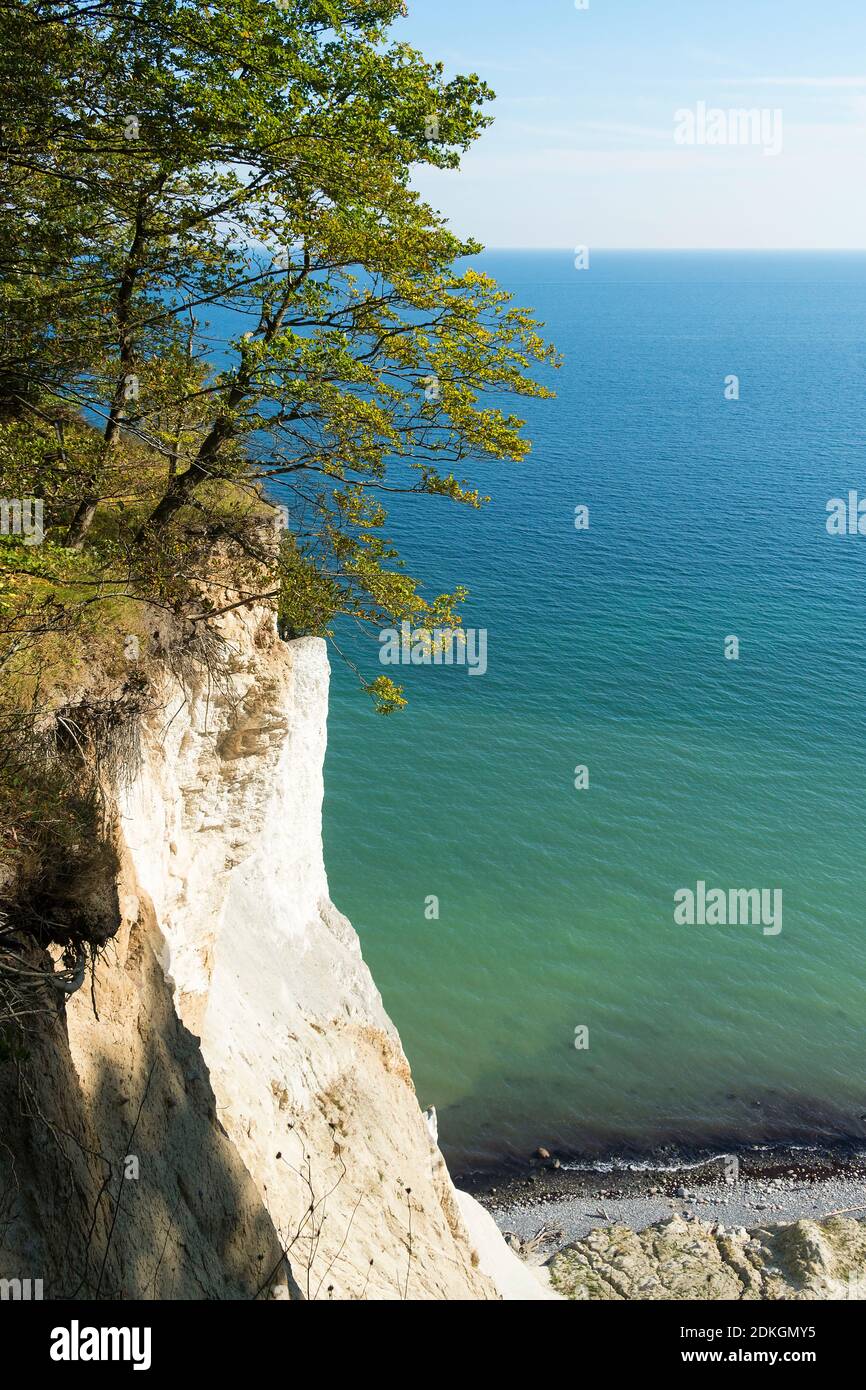 denmark-m-ns-klint-steep-coast-light-chalk-cliffs-with-contrast-to