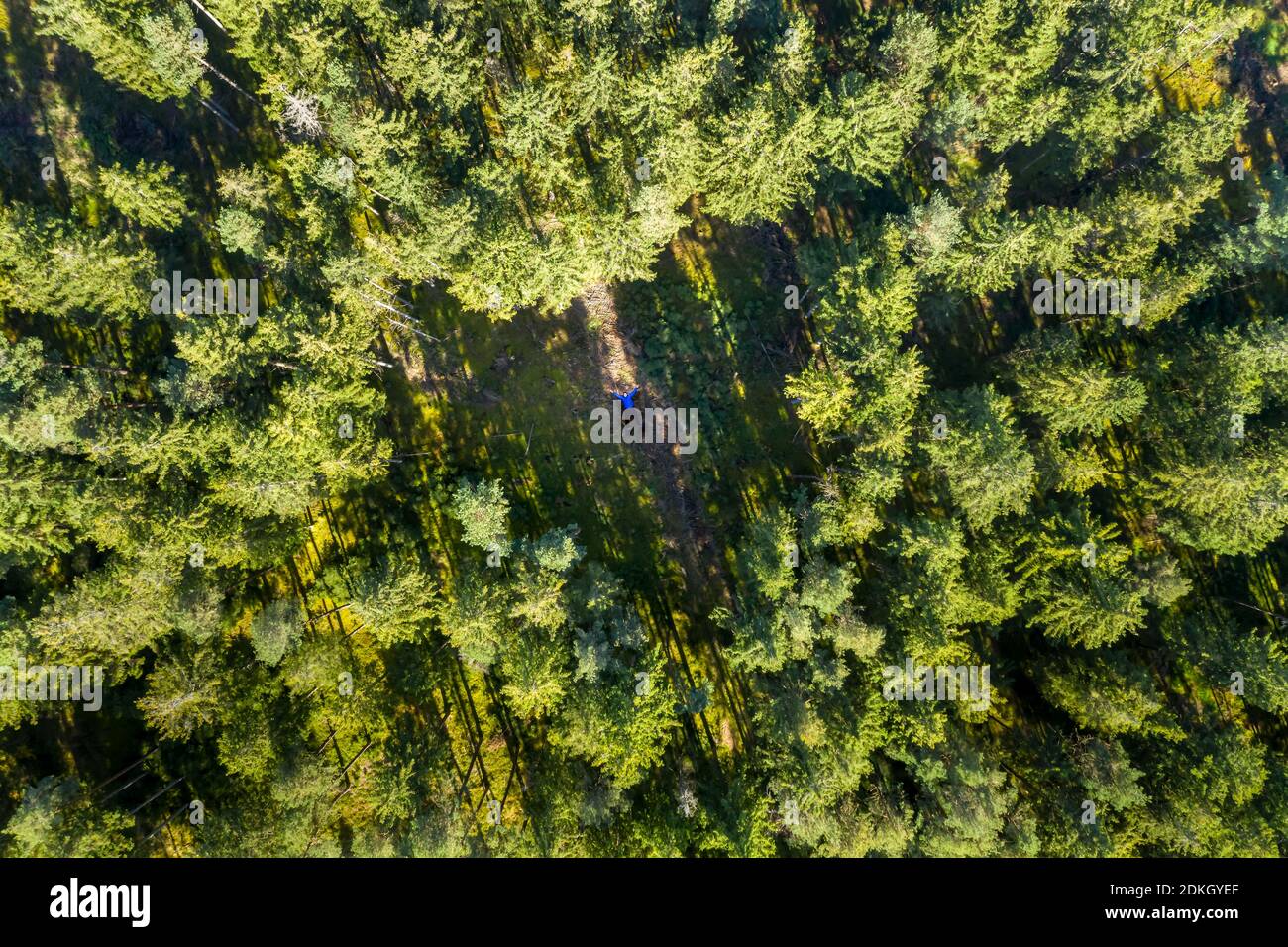 Heart shaped hole in a forest with a man lying in the middle, symbol for love of nature - naturelovers Stock Photo