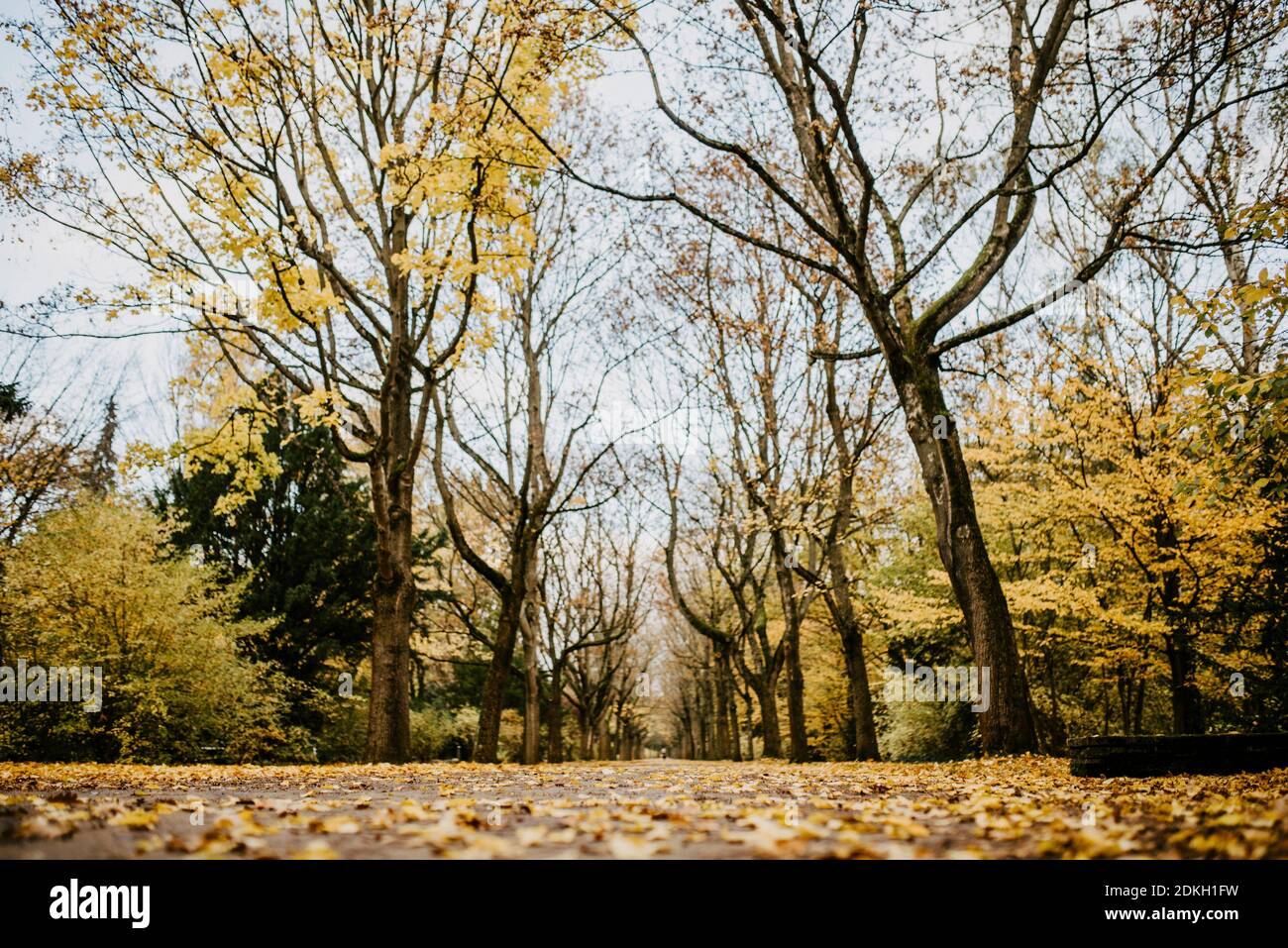 what are the main objectives of comparative