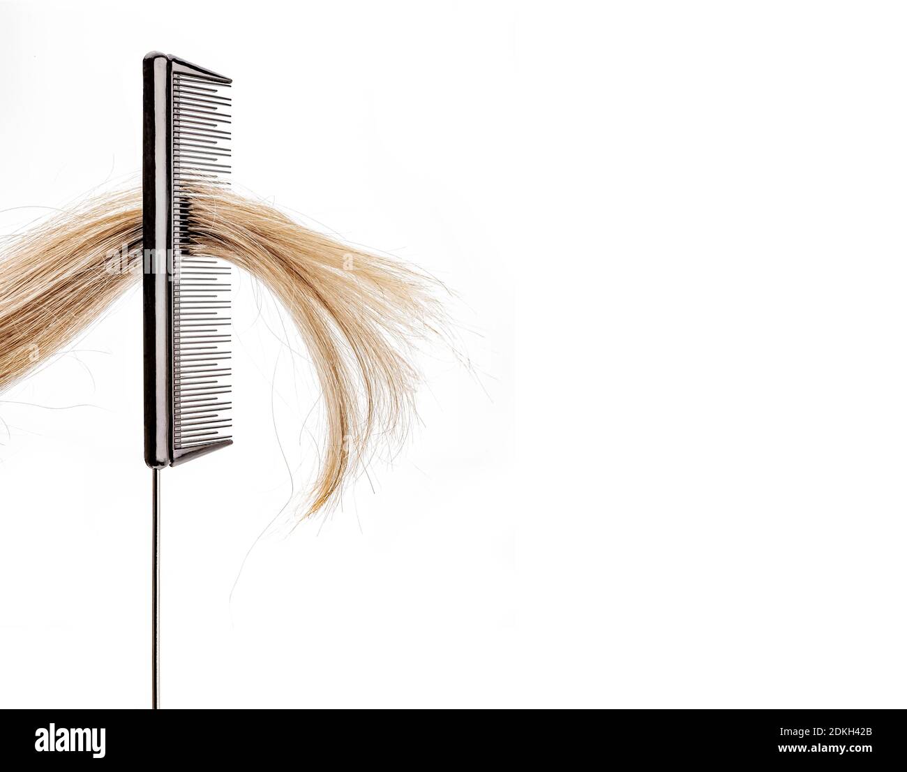 White strand of hair hires stock photography and images Alamy