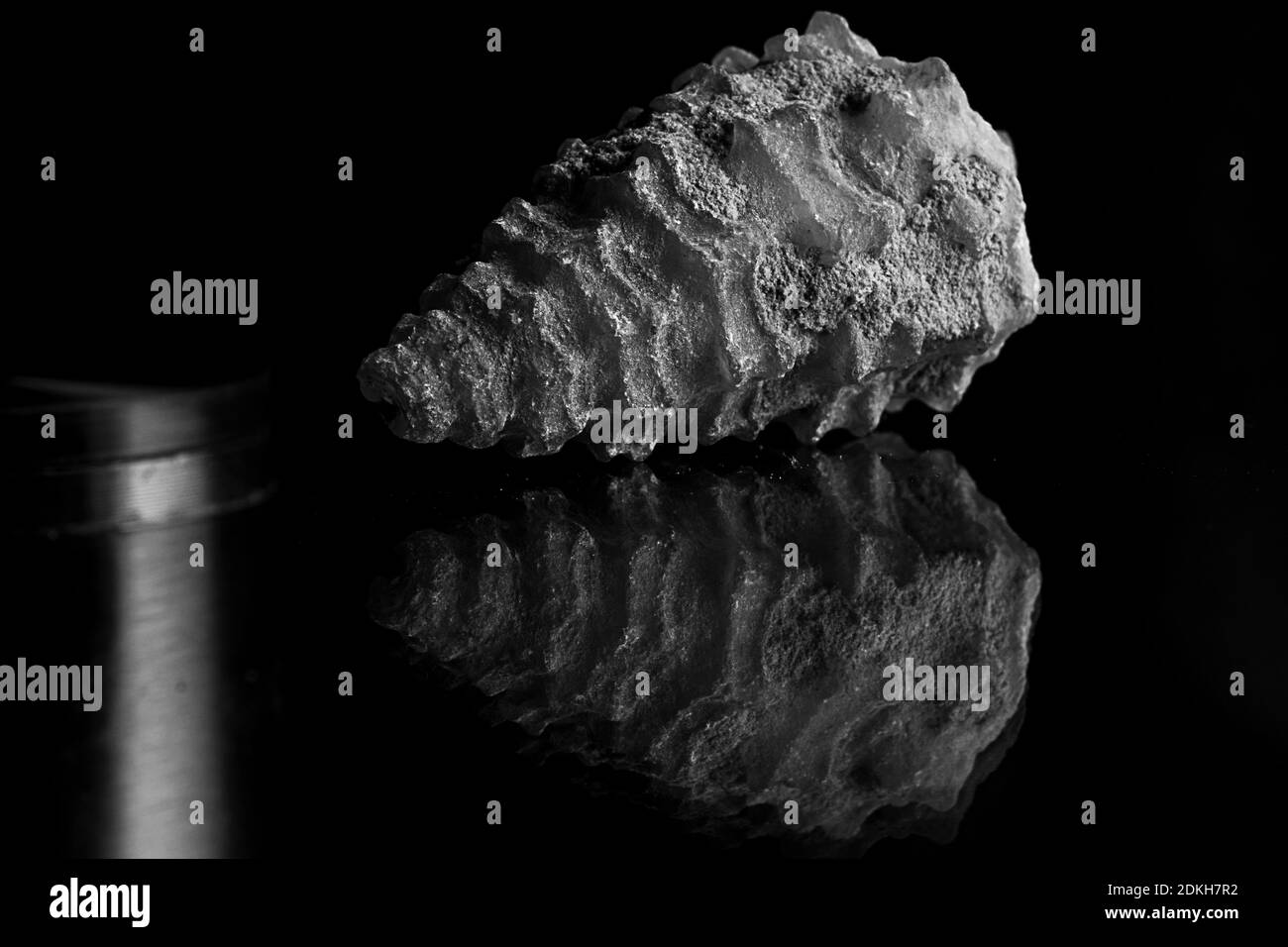 Close up rocks and fossils in black and white Stock Photo Alamy