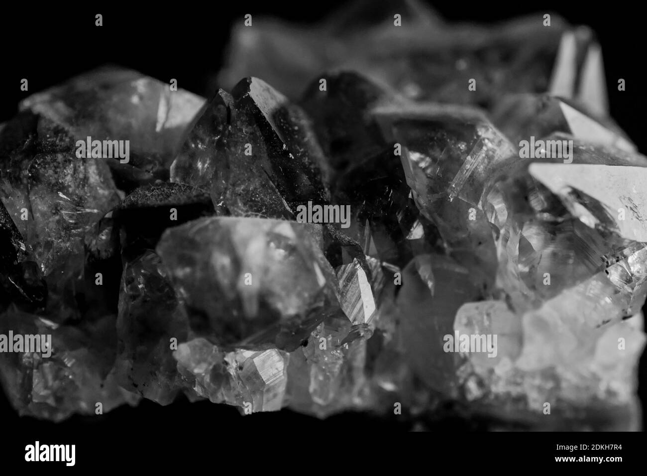 Close up rocks and fossils in black and white Stock Photo Alamy