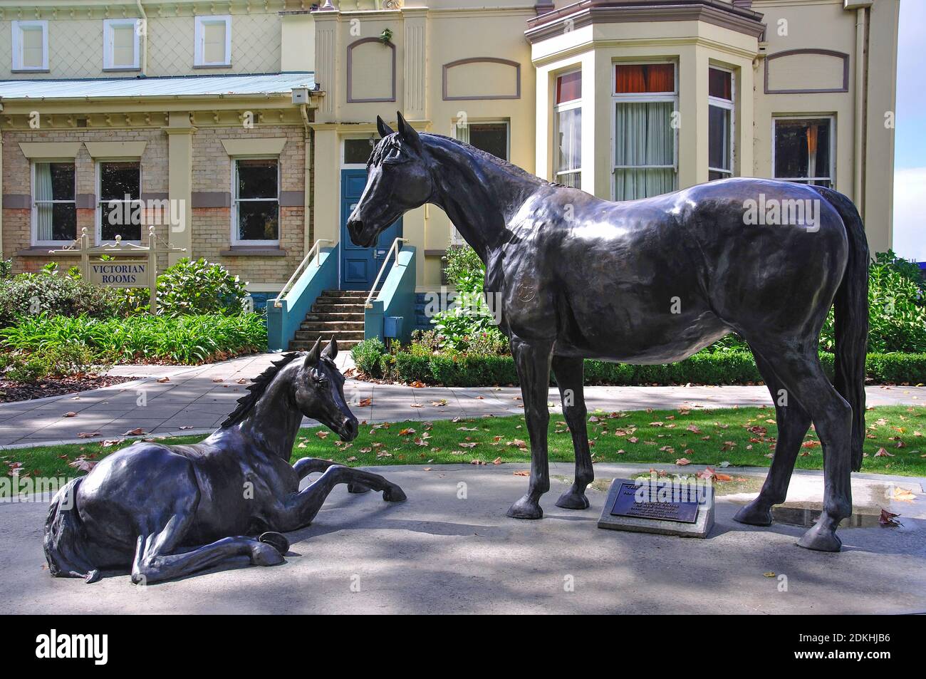 Matamata horses hires stock photography and images Alamy