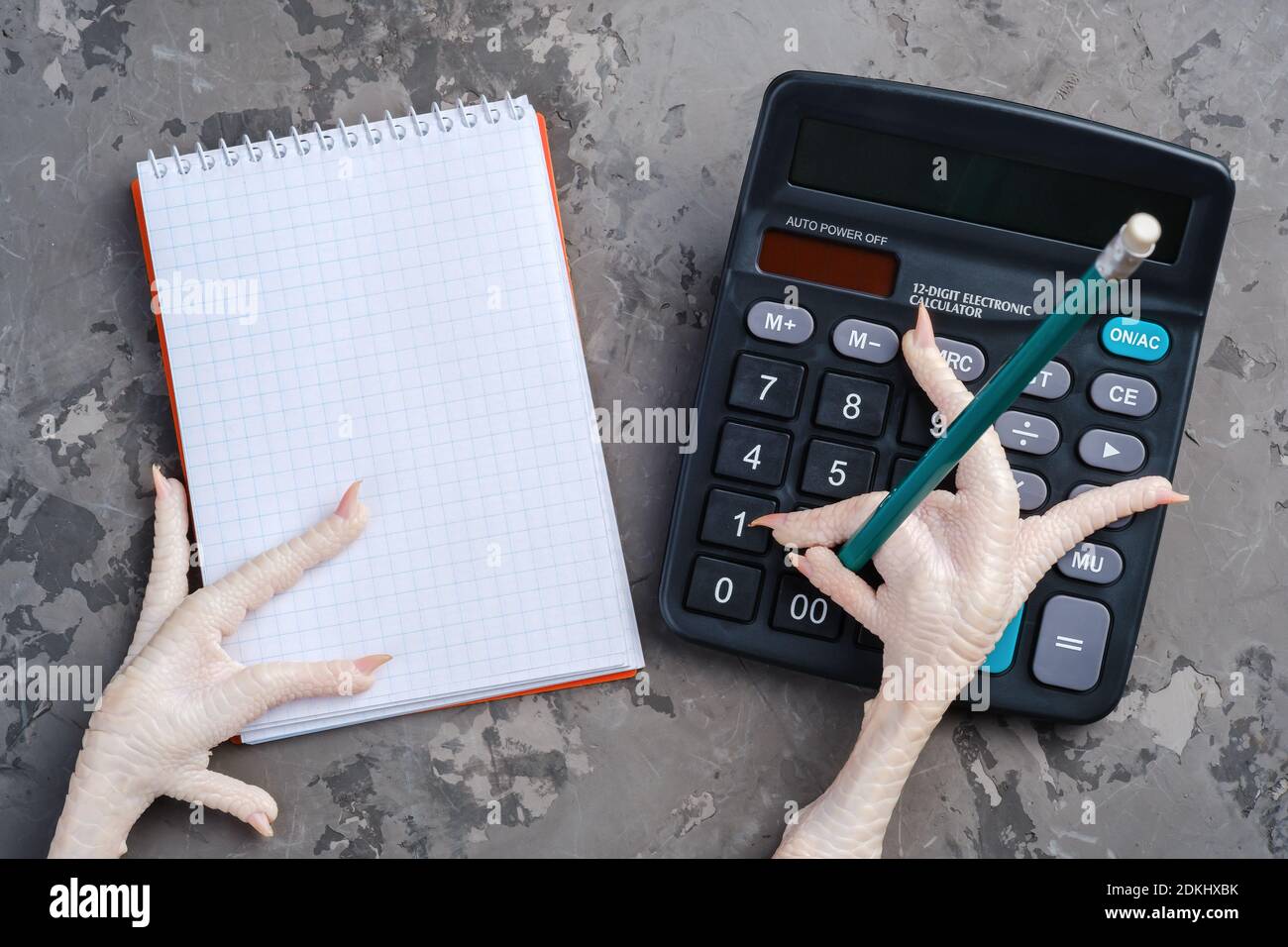 Chicken paw with a pencil counts on a calculator, the other lies on a  notebook Stock Photo - Alamy