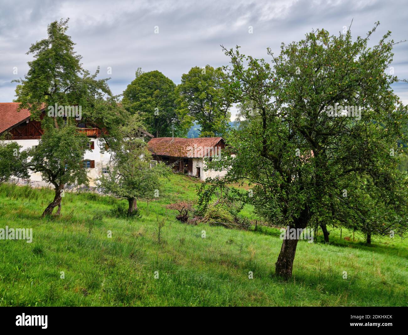 Mountain, mountainside, mountain range, meadow, orchard, farm, abandoned, lapsed, meadow, pasture, alpine pasture, mountain farm Stock Photo