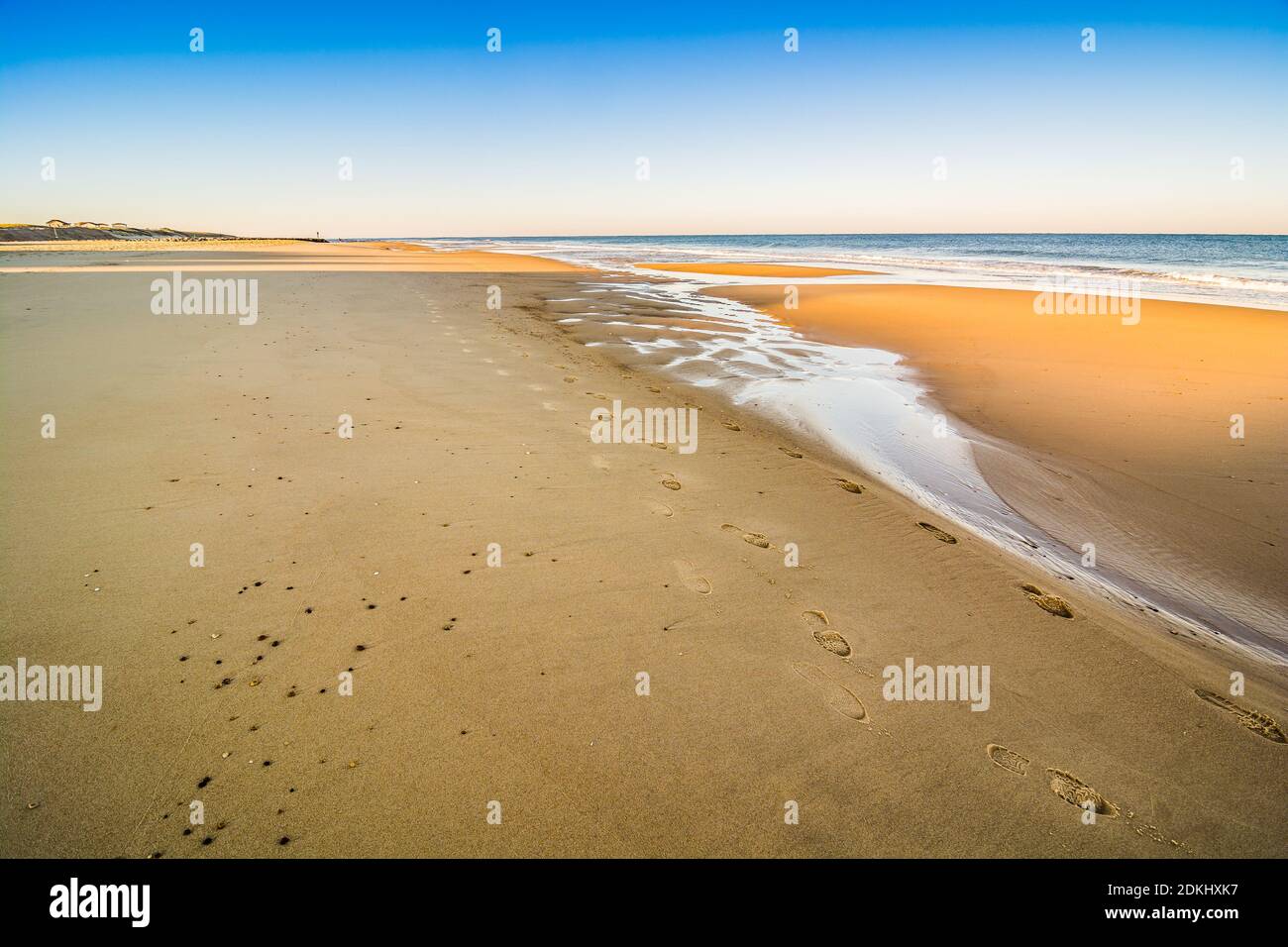 Orange sand beach in sunset on the shore of North Atlantic Ocean in Mimizan Plage Stock Photo