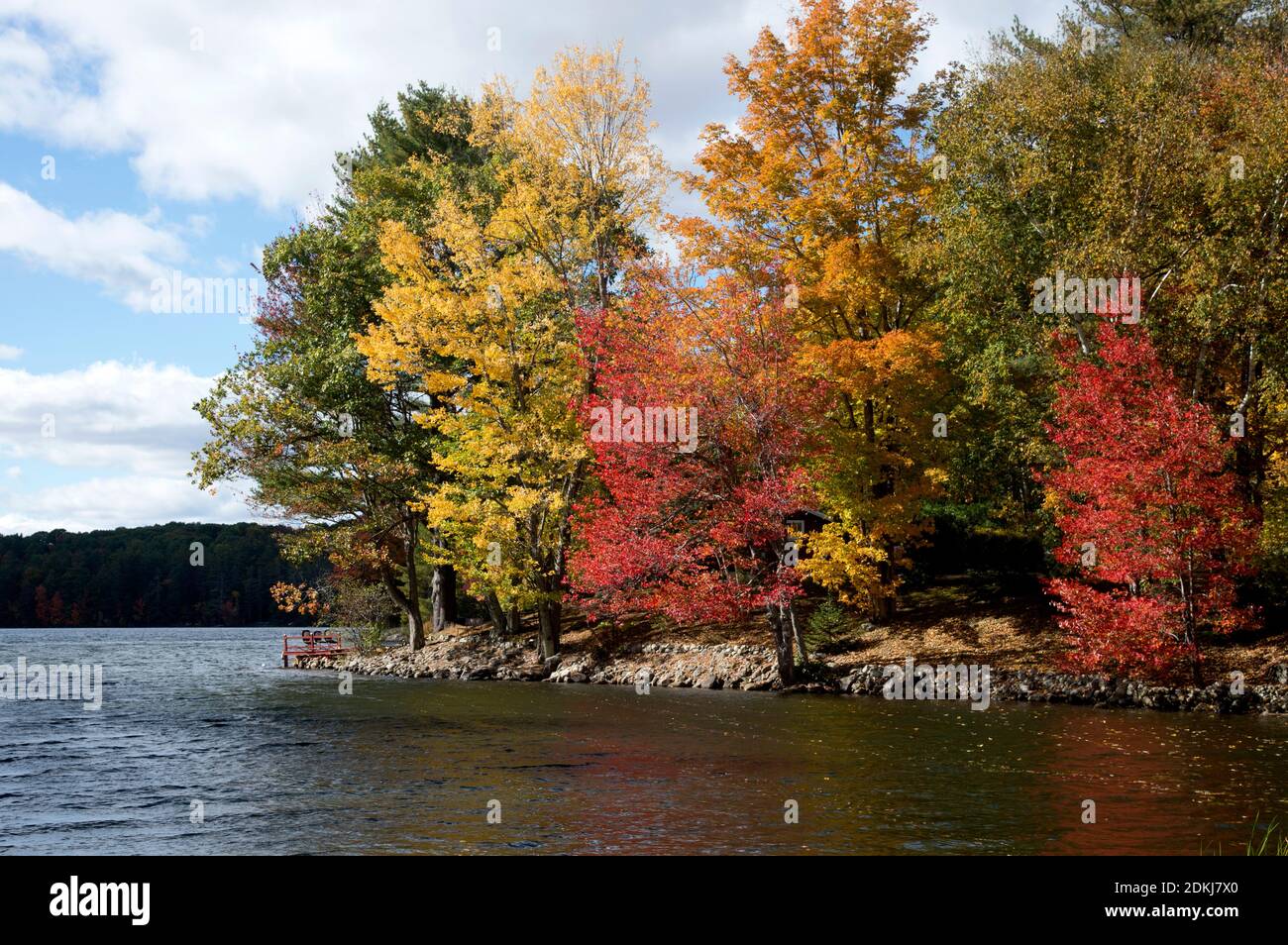 Brilliant fall colors of trees on lake, North Monmouth, Maine, United States Stock Photo