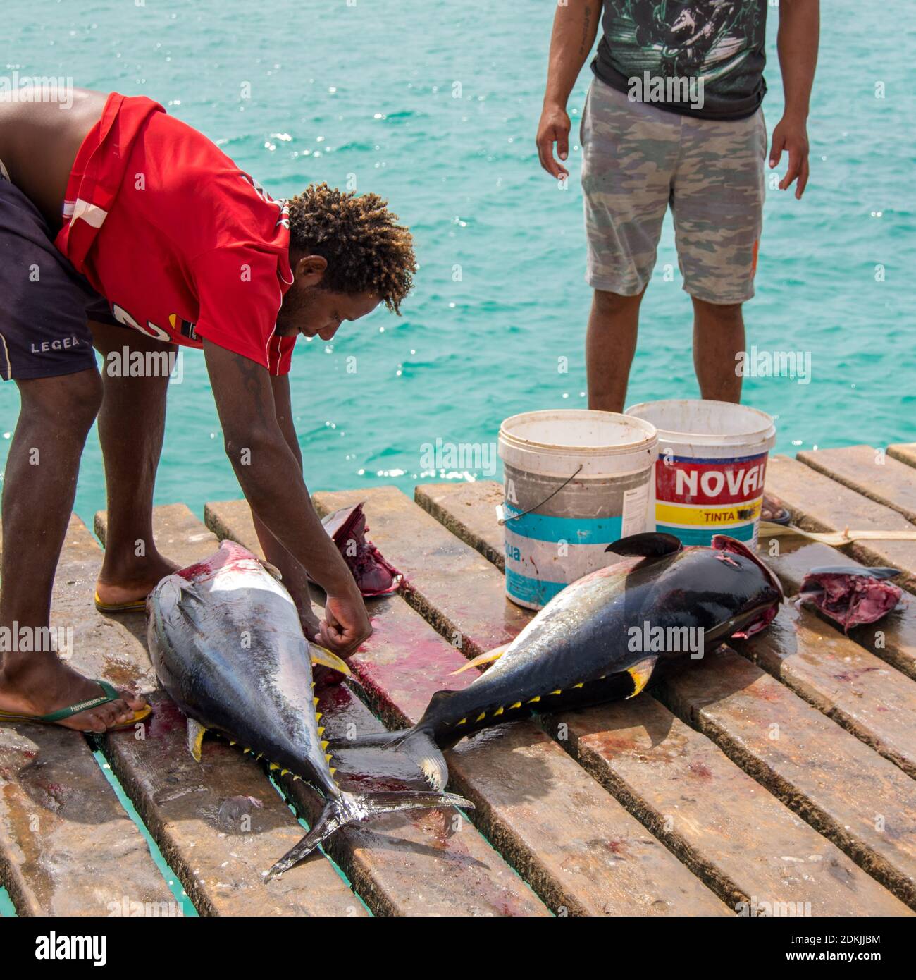 Cabo verde or Cape Verde or Green Cape Santa Maria pontoon wet market from  local fishing with Tuna Stock Photo - Alamy