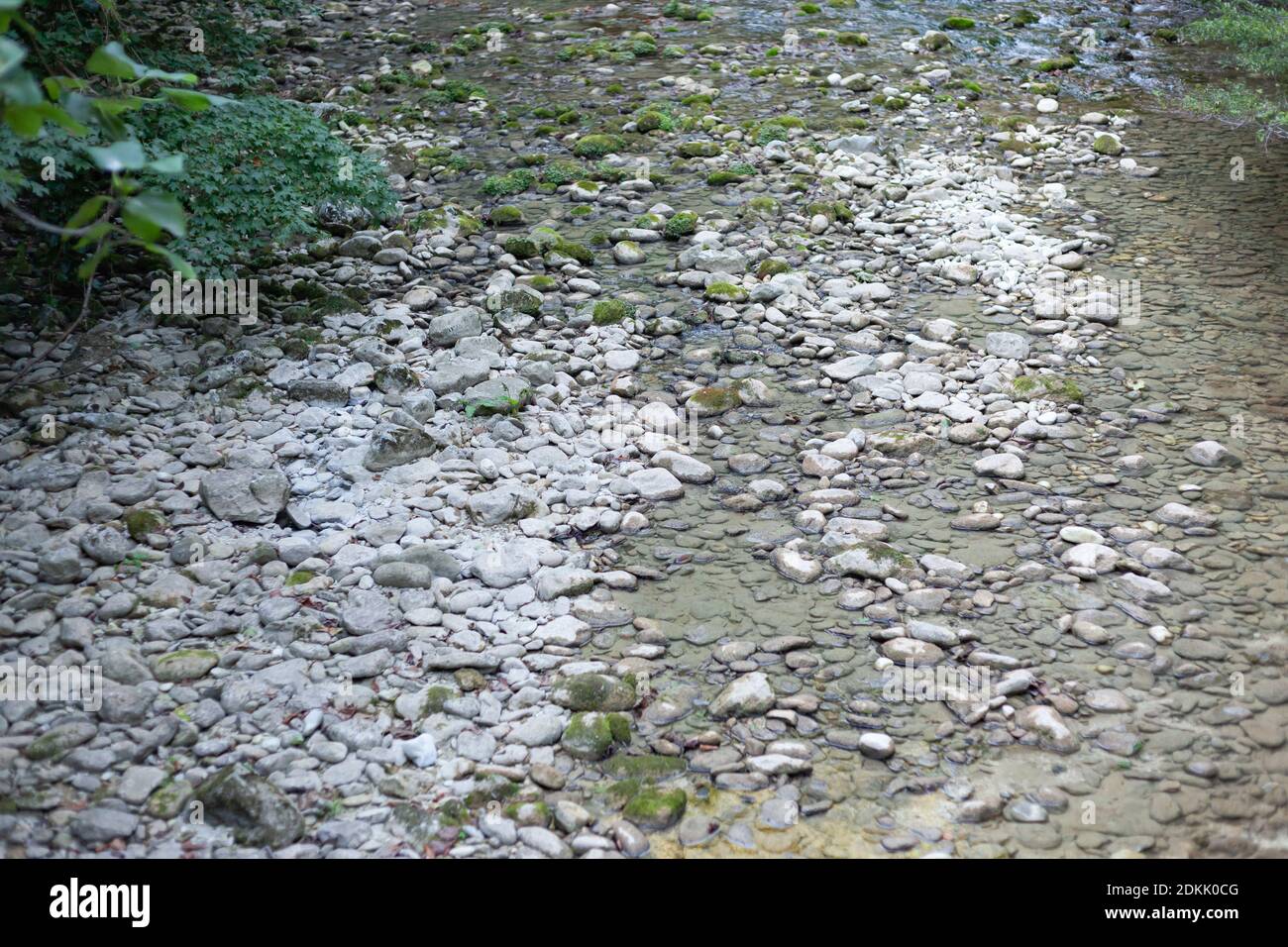 small river with gray stones Stock Photo