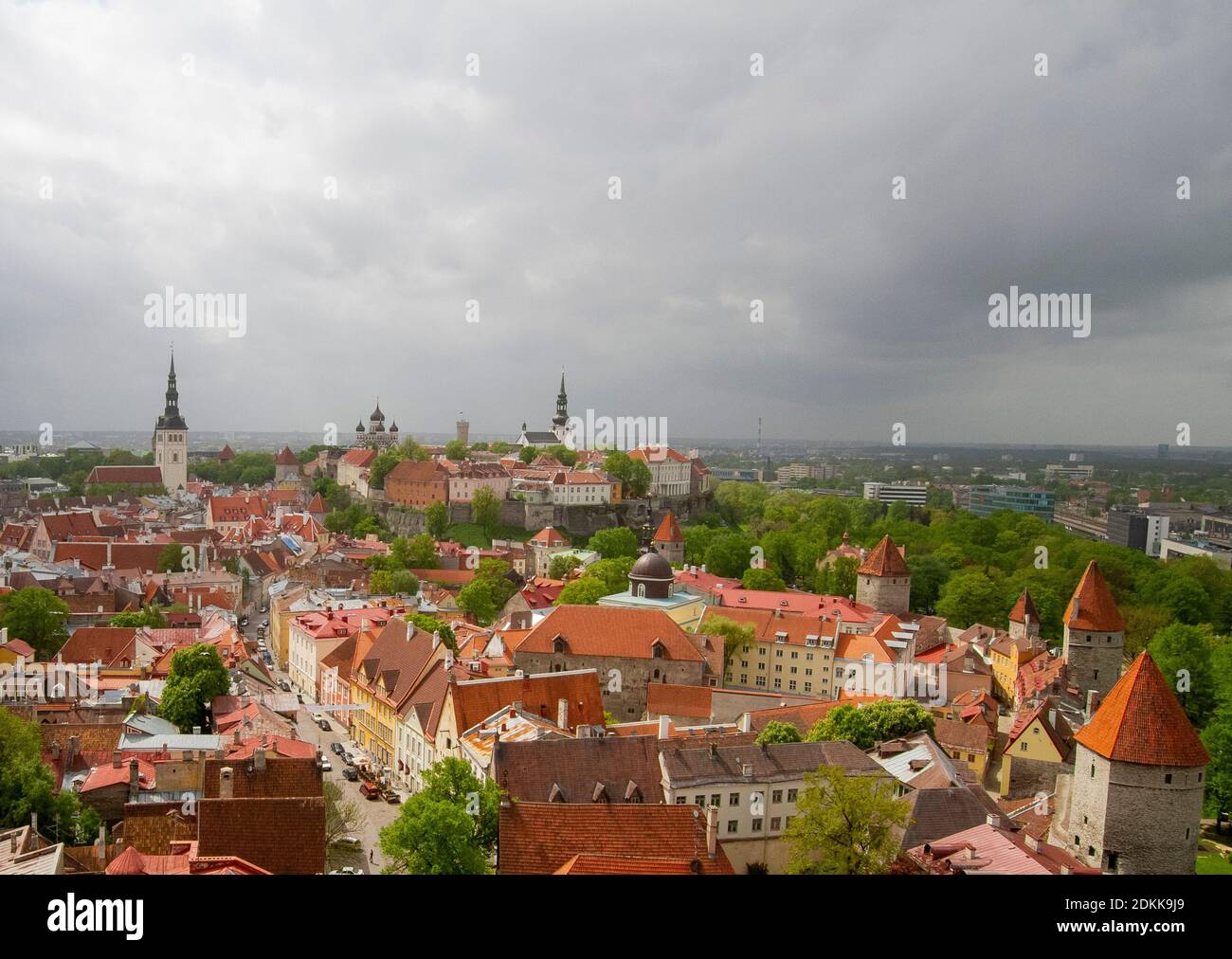 Tallinn in spring, city landscape of green trees and sunlit terracotta rooftops, city walls and church spires in Old Town Tallinn viewed from St Olafs. Stock Photo
