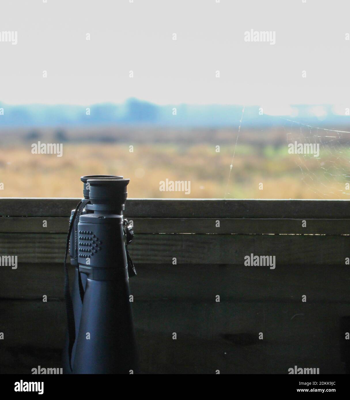 Winter bird watching UK. View through bird hide window over marshland with pair of black binoculars sitting upright in bird hide on winter day. Stock Photo