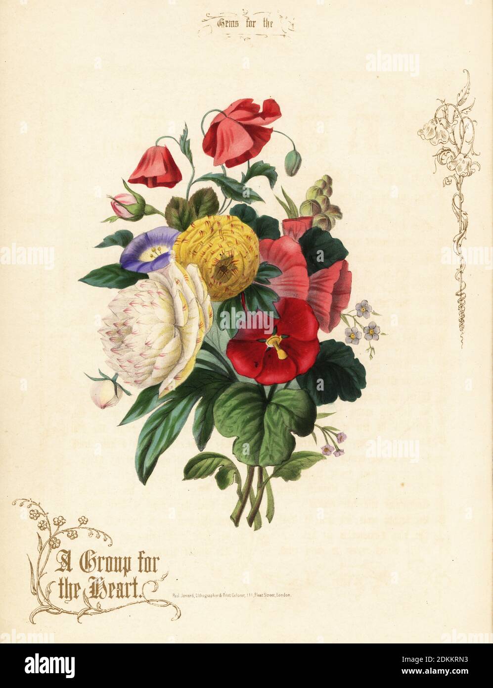 Bouquet of poppies, ranunculus, morning glory, hollyhock. The Group of the Heart. Hand-coloured lithograph with gold calligraphy by Paul Jerrard from his own Gems for the Drawing Room, Paul Jerrard, 111 Fleet Street, London, 1852. Jerrard was a Victorian lithographer and print colourer active in London. Stock Photo
