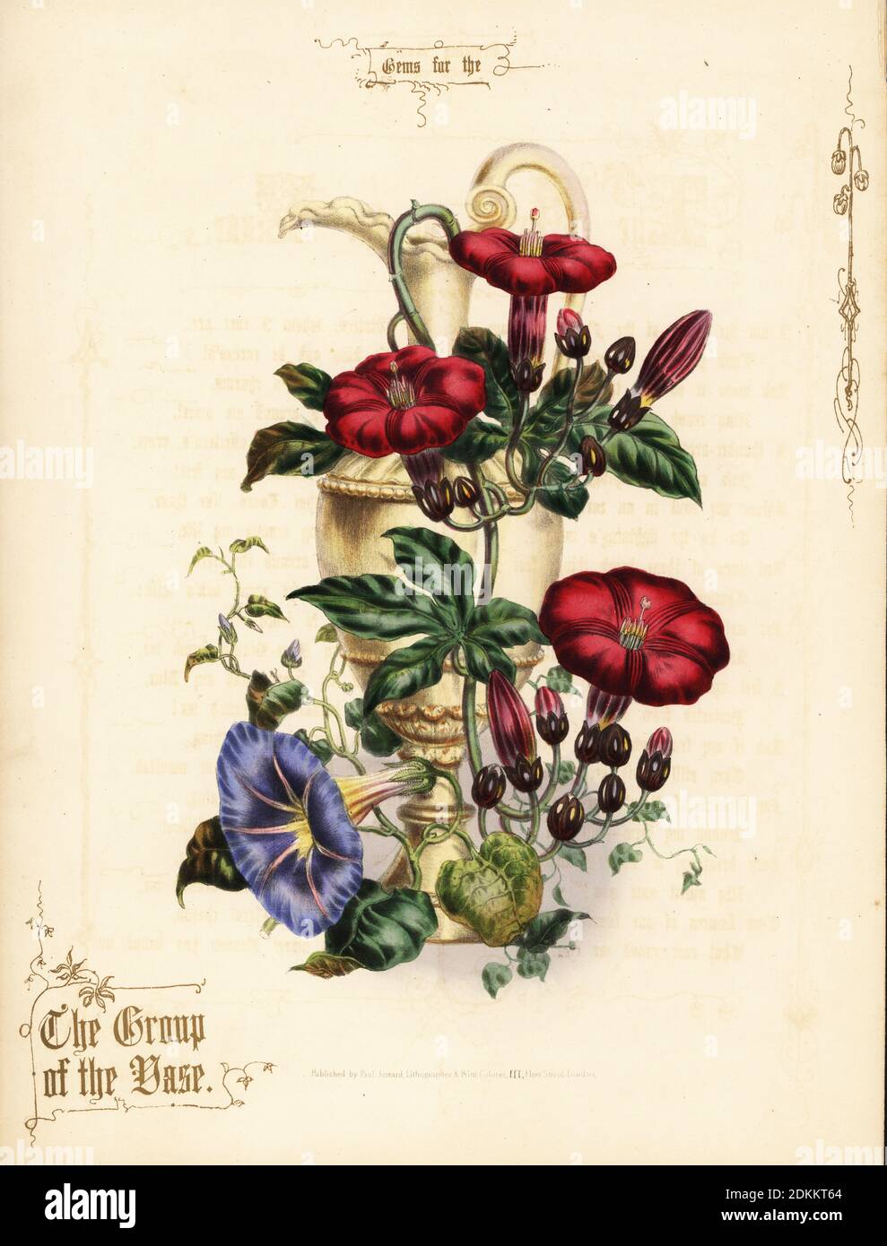 Bouquet of scarlet ipomoea and blue morning glory with vase. The Group of the Vase. Hand-coloured lithograph with gold calligraphy by Paul Jerrard from his own Gems for the Drawing Room, Paul Jerrard, 111 Fleet Street, London, 1852. Jerrard was a Victorian lithographer and print colourer active in London. Stock Photo