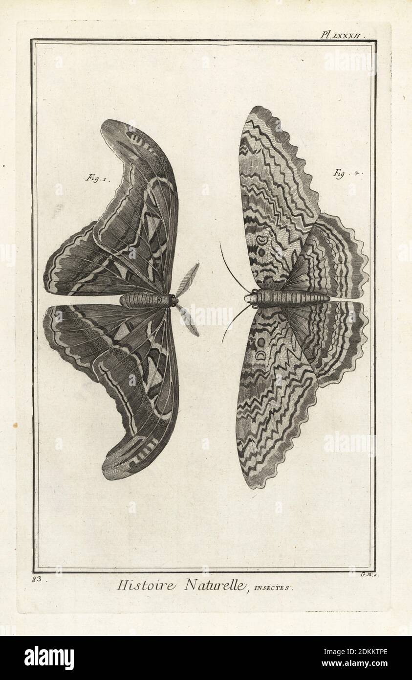 Atlas moth, Attacus atlas (China) and white witch moth, Thysania agrippina (Cayenne). Copperplate engraving by Antonio Baratti after Francois-Nicolas Martinet after Maria Sibylla Merian from Denis Diderot and Jean le Rond d’Alembert’s Encyclopedie, Histoire Naturelle (Encyclopedia: Natural History), Livourne, 1774. Francois-Nicolas Martinet (1731-1800) was a French draftsman and engraver. Stock Photo