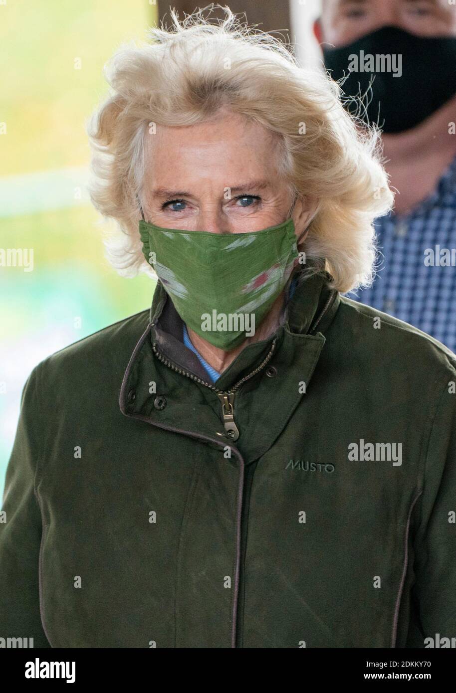 26th October 2020 - Camilla Duchess of Cornwall during a visit to Westonbirt, The National Arboretum in Tetbury, Gloucestershire. The Arboretum attracts over 550,000 visitors a year providing a beautiful landscape that people can visit to enjoy and learn about trees, as well as a vital resource for scientists to research more about these plants and understand how to protect them for the future. Photo Credit: ALPR/AdMedia /MediaPunch ***FOR USA ONLY*** Stock Photo