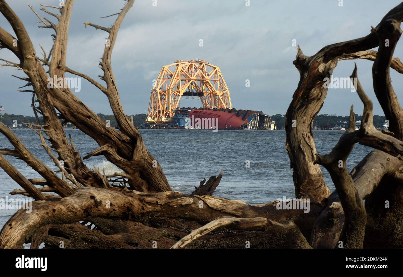 Georgia, USA. 14th Dec, 2020. December 14, 2020 - Jekyll Island, Georgia, United States - The Golden Ray cargo ship lies on its side in the water as seen between a tree on Driftwood Beach on December 14, 2020 in Jekyll Island, Georgia. A salvage company is cutting the vessel into eight segments, with the bow section having been cut and removed by a barge to be scrapped. The vehicle carrier, loaded with 4200 new cars, capsized in St. Simons Island Sound on September 8, 2019 as it was leaving the Port of Brunswick, Georgia. (Paul Hennessy/Alamy) Credit: Paul Hennessy/Alamy Live News Stock Photo