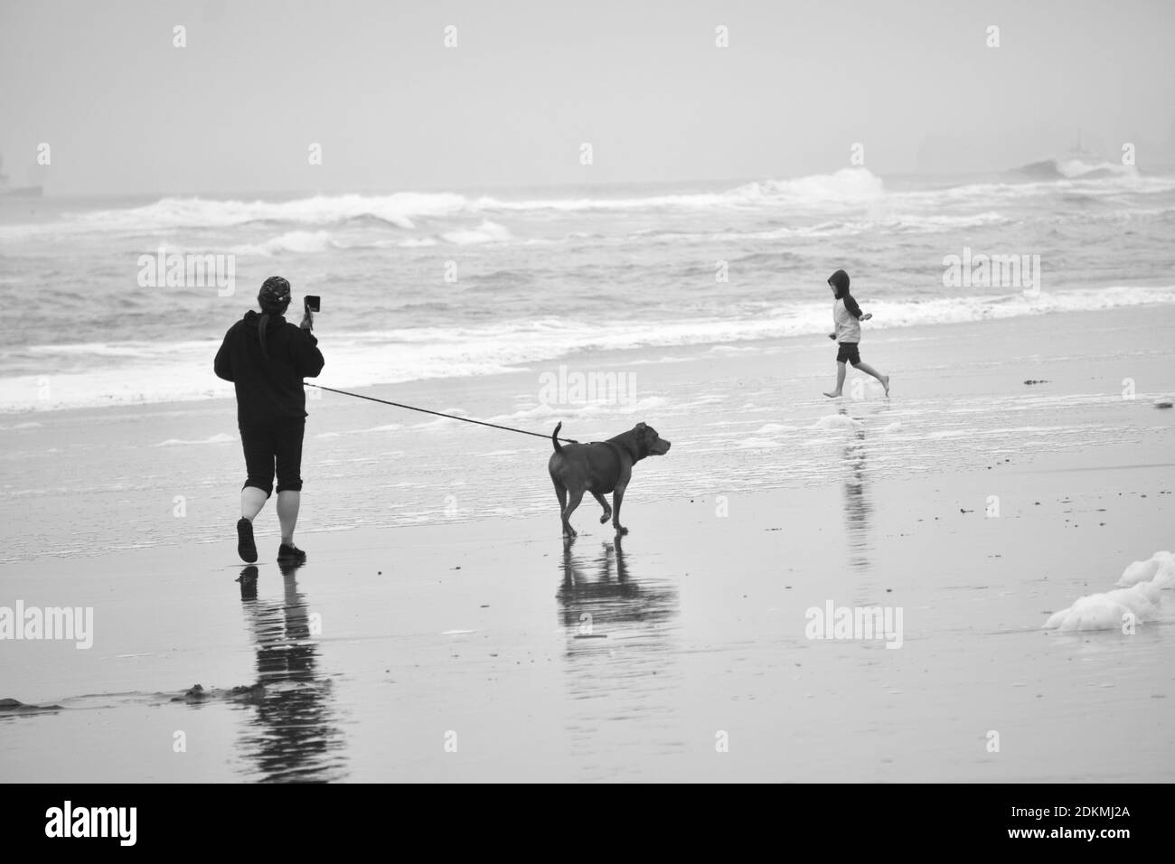 Woman walking dog on a leash and child running at Ocean Beach on a foggy day. Black and white photo. Ocean Beach, San Francisco, California, USA. Stock Photo