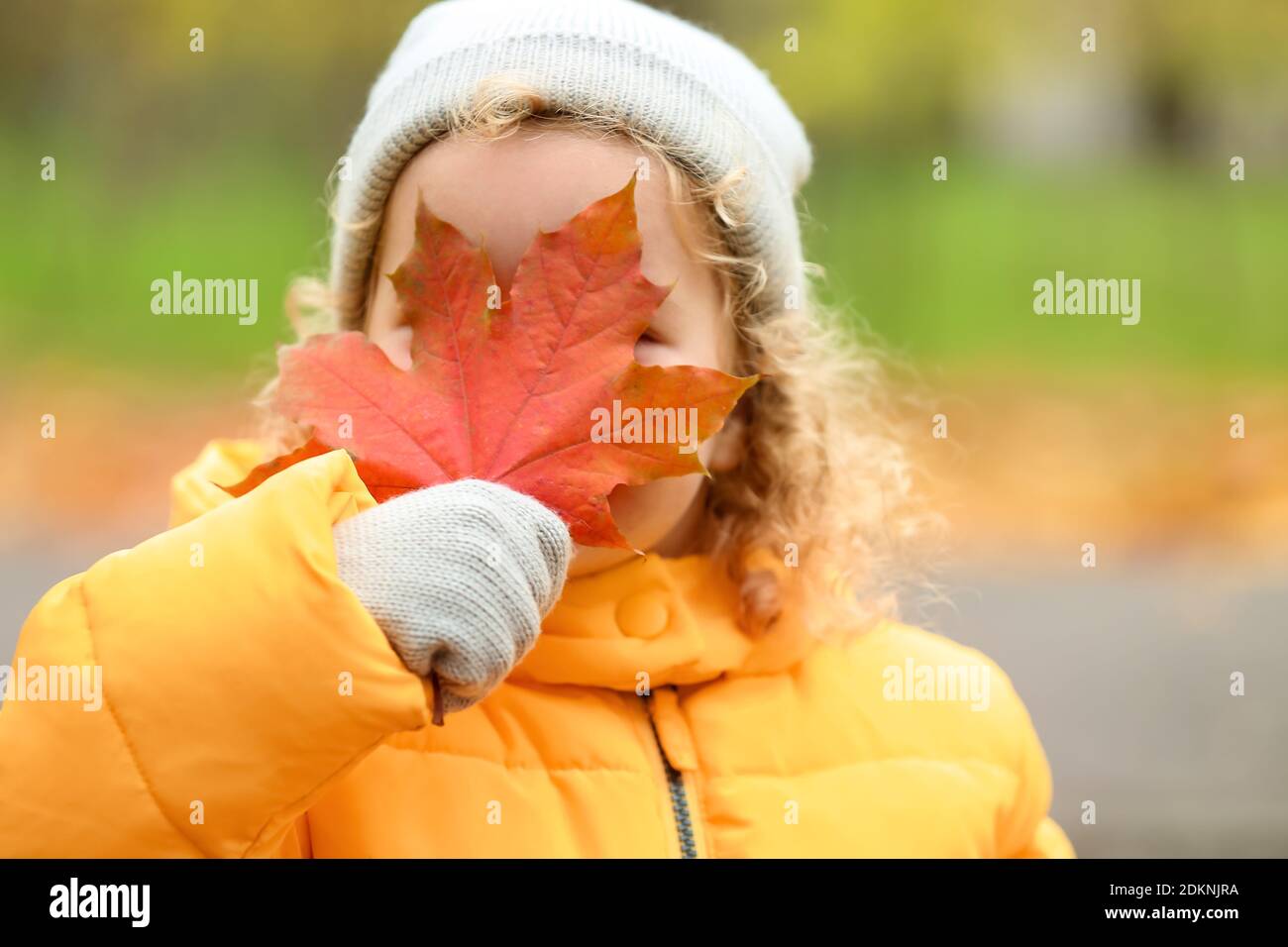 Cute little girl in autumn park Stock Photo - Alamy
