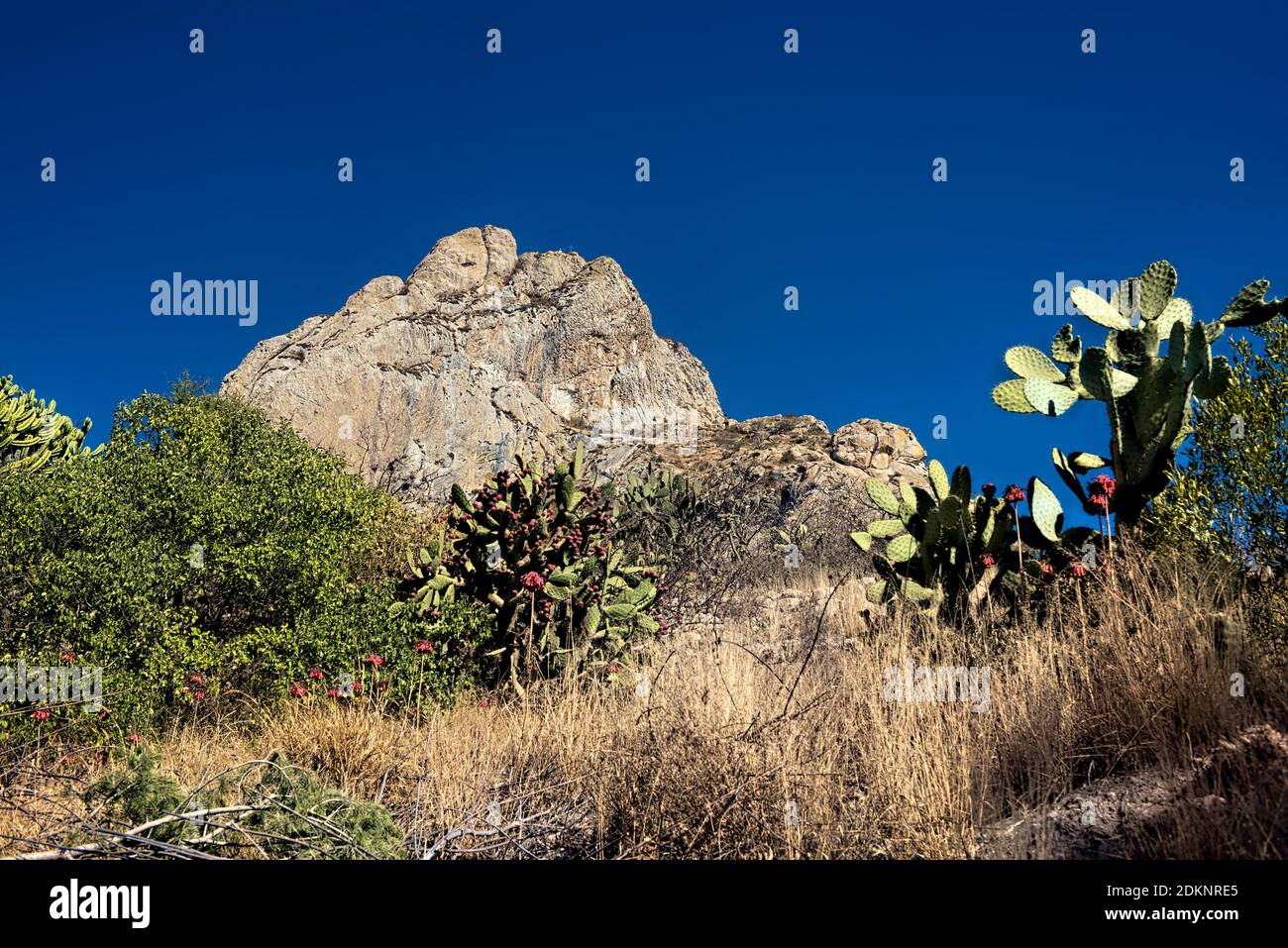 View of the massive Peña de Bernal, UNESCO site and one of the world’s ...